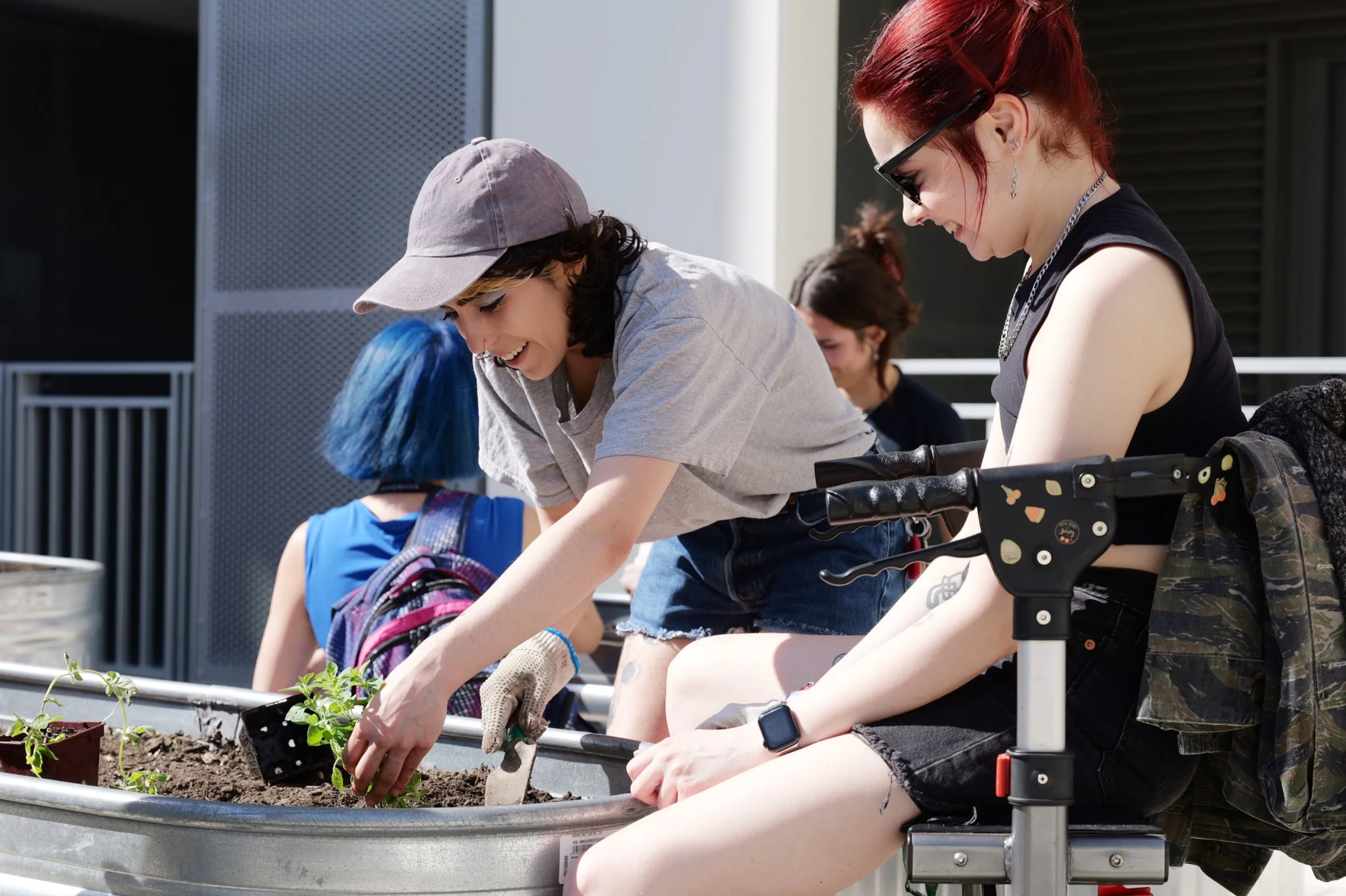 Young people planting seedlings in a garden bed together on a sunny day.