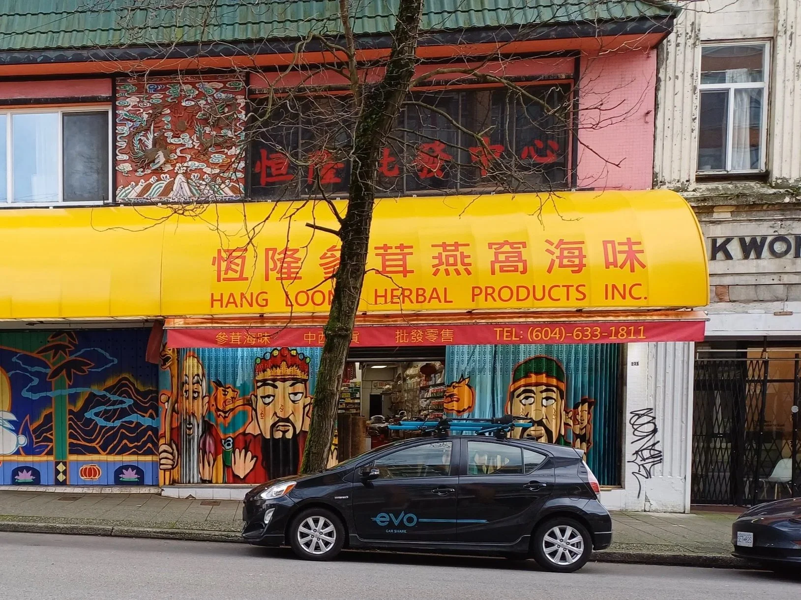 A storefront with a bright yellow sign reading "Hang Loong Herbal Products Inc." in red letters. The sign features Chinese characters above the English text. The store's entrance has colorful murals depicting characters in traditional Chinese attire, with a backdrop of clouds and mountains. A tree partially blocks the view, and a black EV car is parked in front of the store.
