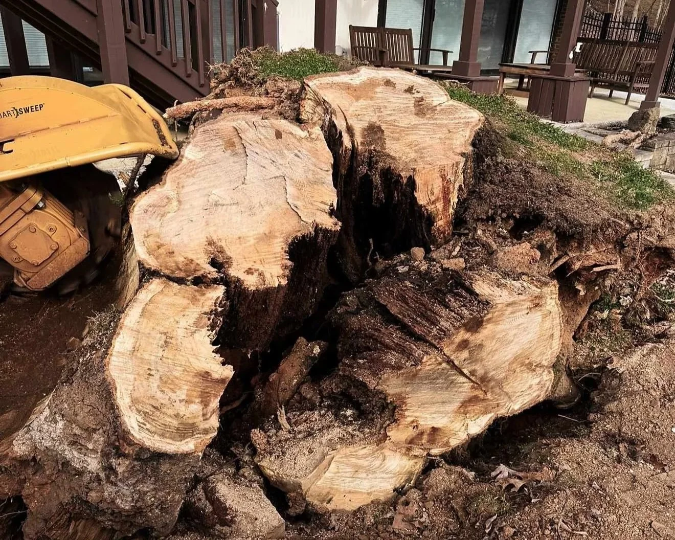 Large tree logs and roots with a yellow construction tool nearby on the ground, with a stump grinder