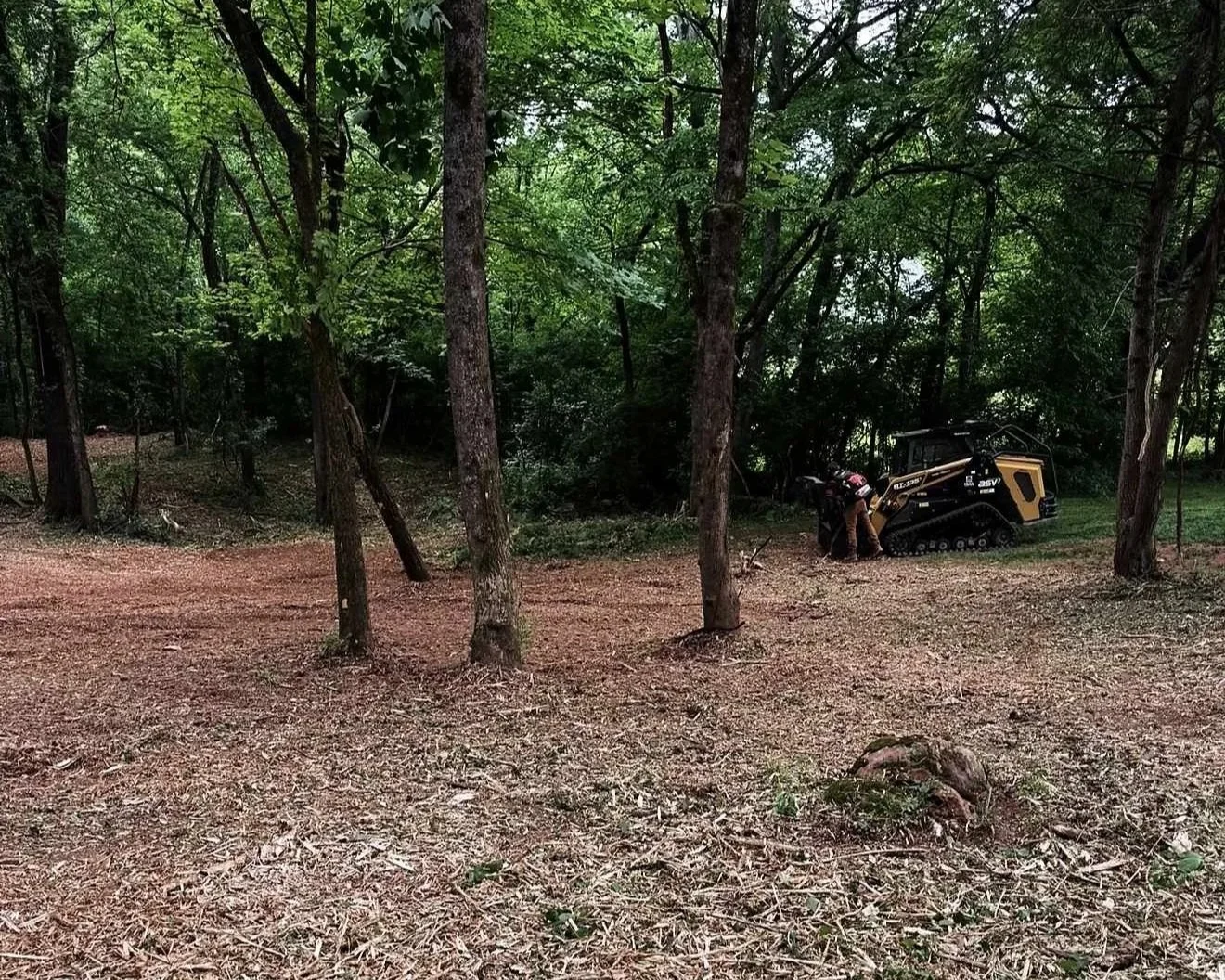 A person is operating a small tracked bulldozer in a wooded area with trees and dirt ground.