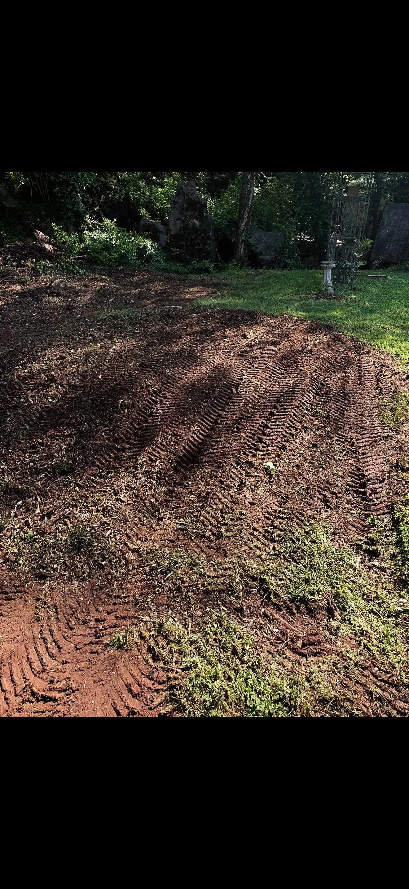 A freshly forestry mulched patch of soil with visible tire tracks and small patches of grass, surrounded by trees and greenery.