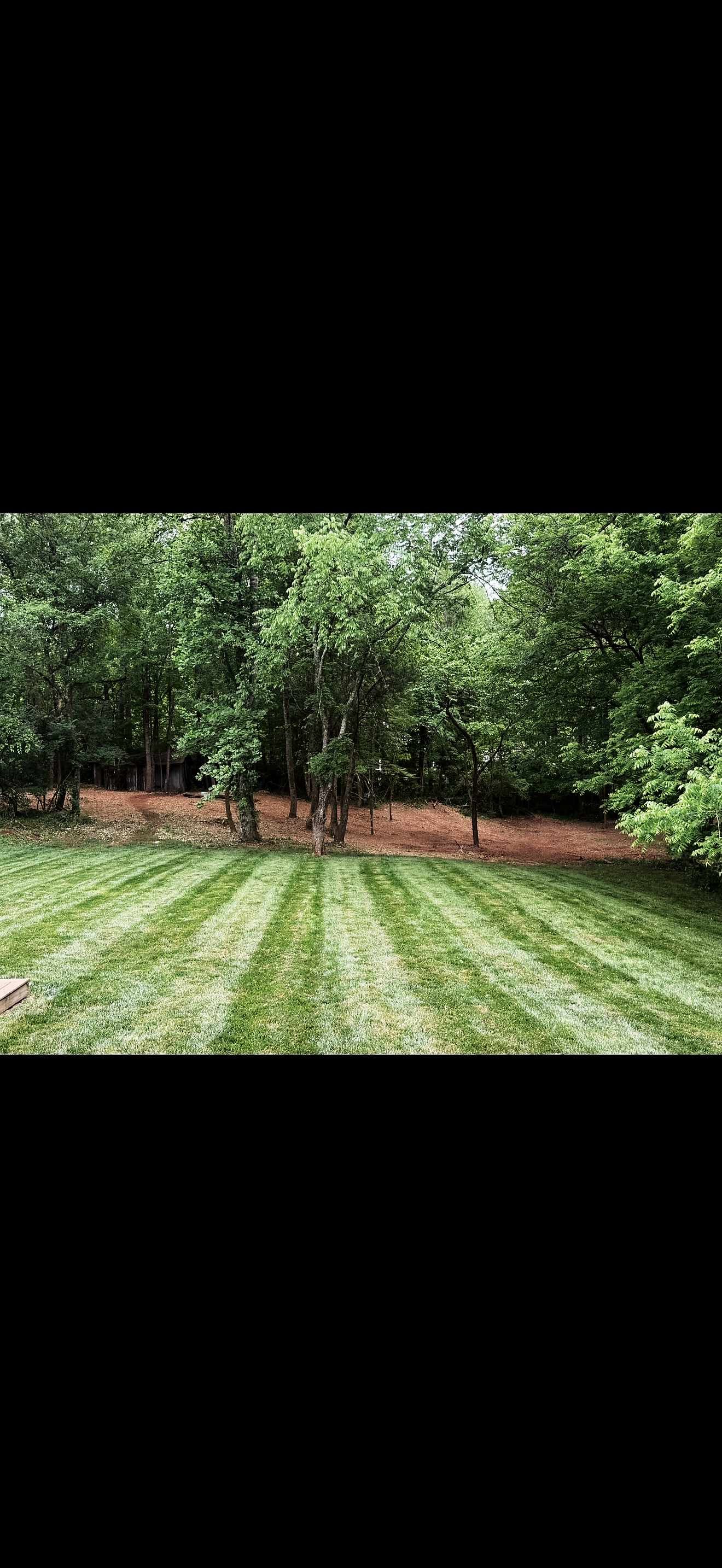 A backyard with freshly mowed grass and a line of trees in the background.