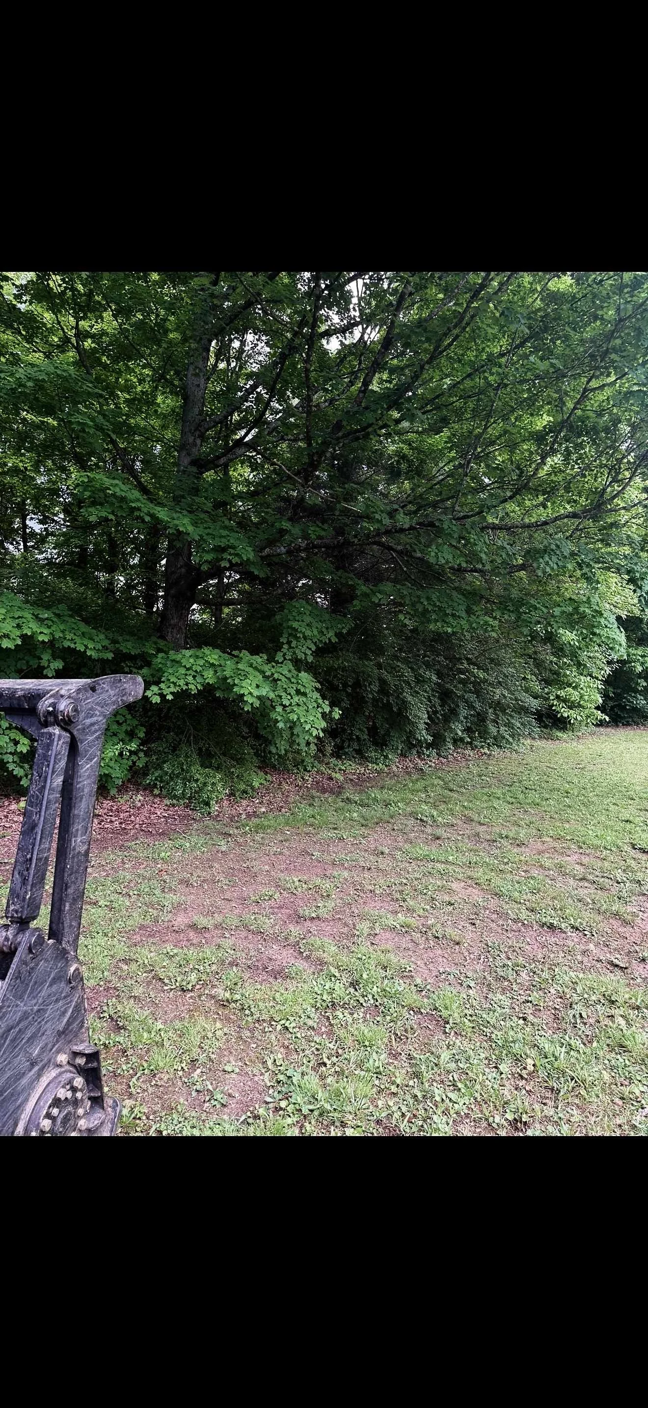 A lush green forest with dense trees and bushes on the left side, and a grassy area in the foreground. Part of a piece of black machinery is visible in the lower left corner.