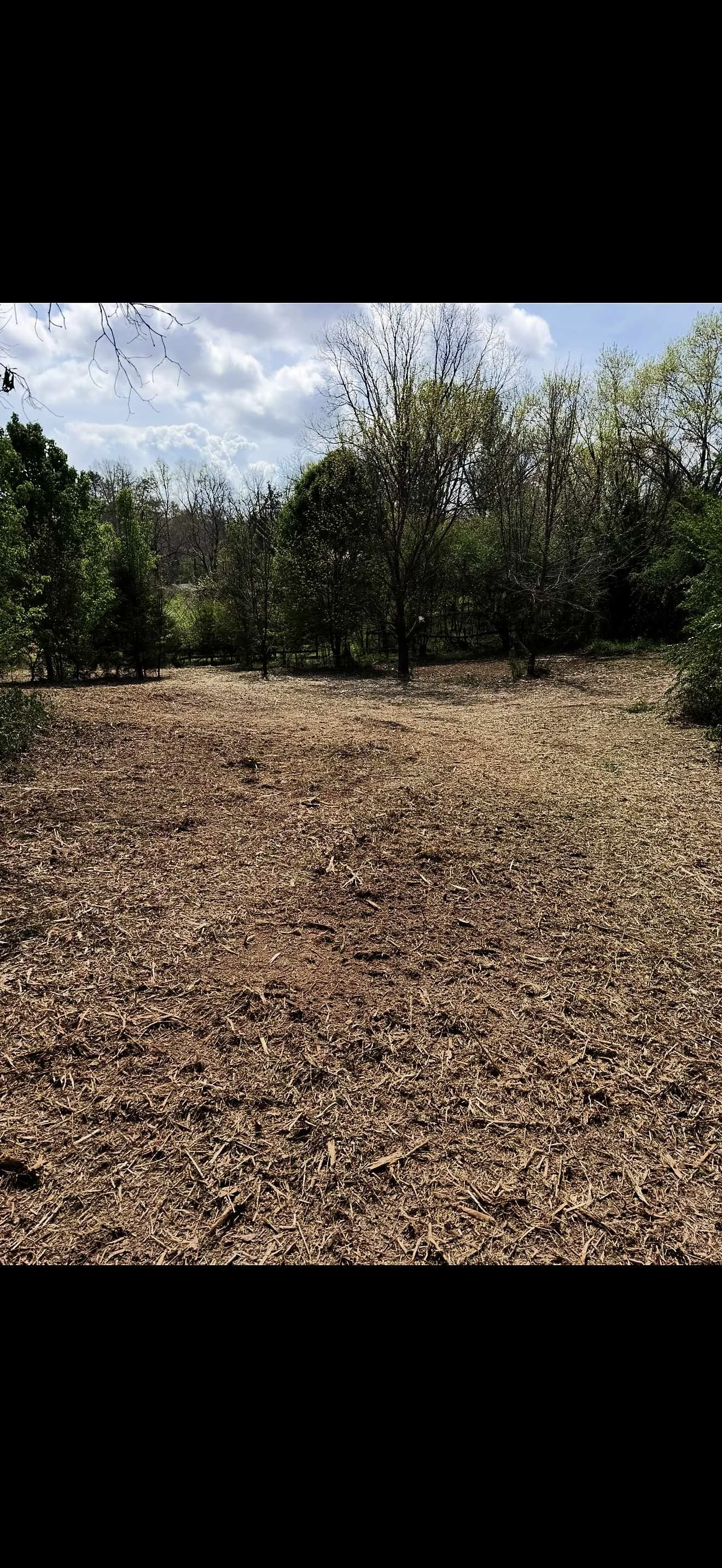 Open mulched field with dry soil surrounded by trees, some with leaves and some without, under a partly cloudy sky.
