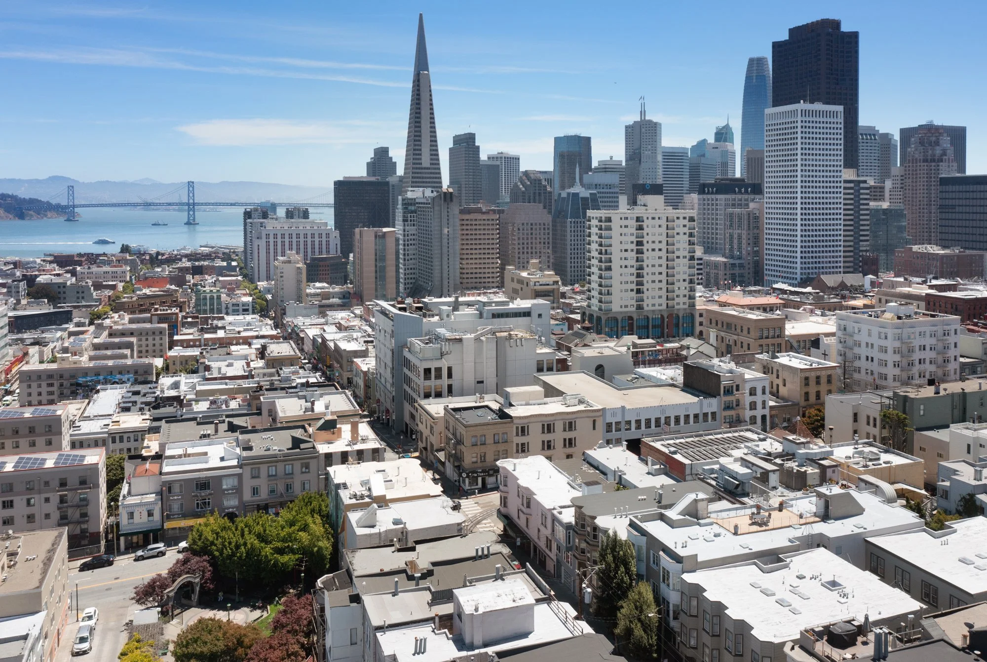 View of San Francisco skyline with tall skyscrapers, including the Transamerica Pyramid, along with the bay and a bridge in the background on a clear sunny day.