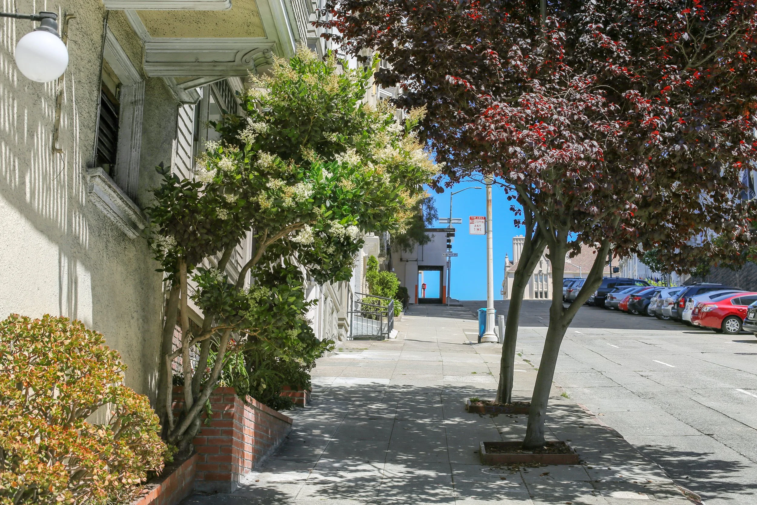 City sidewalk shaded by trees and lined with parked cars on the right. A building with a textured exterior wall and windows is on the left, with flowering bushes and trees in front. The sky is clear and blue.