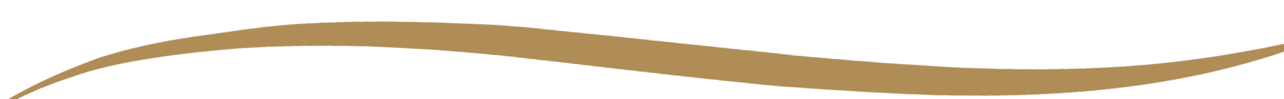 A brown wave pattern on a black background.