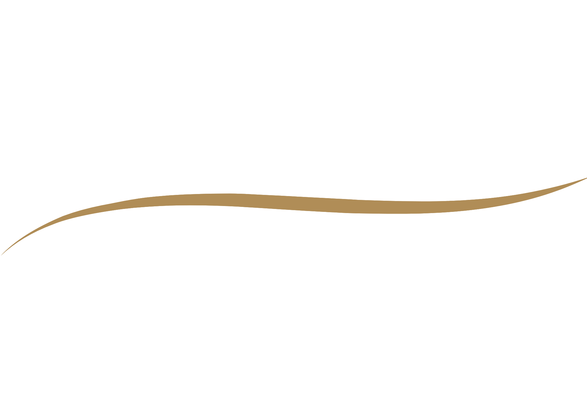 Elegant black background with a gold flowing line at the bottom.