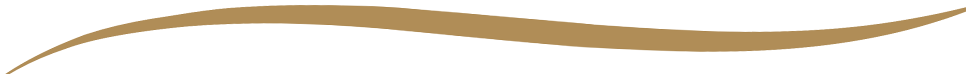 Stylized, wavy gold line on a black background.