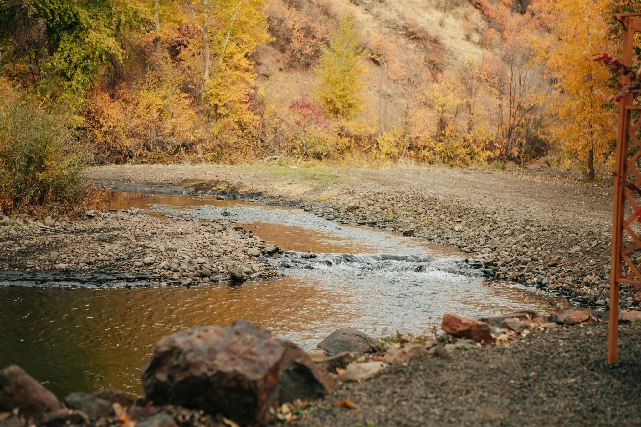 Autumn scene with a small creek running through a forest with fall foliage in shades of yellow, orange, and red.