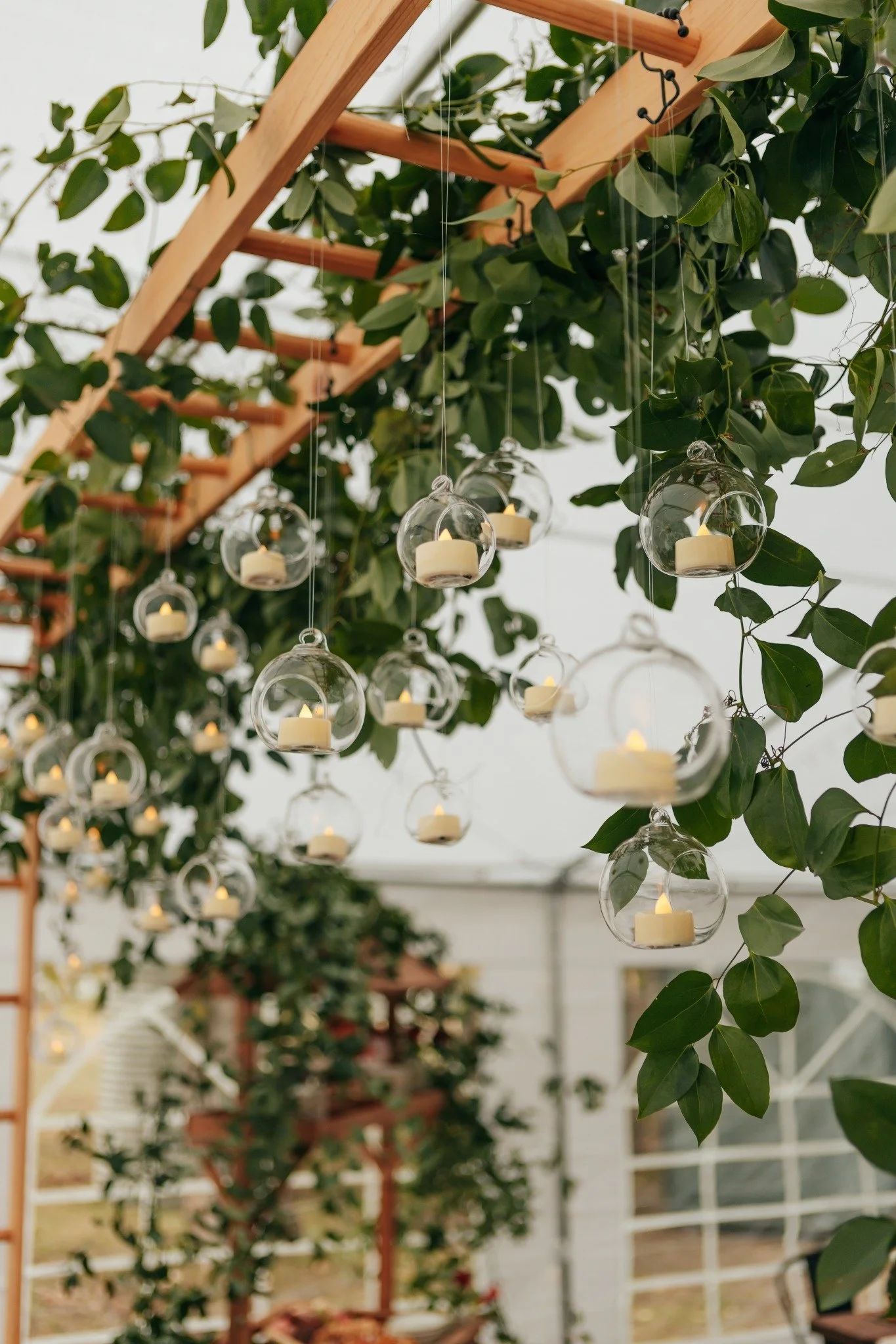 String of hanging glass globe lanterns with candles inside, suspended among green leaves on a wooden trellis.