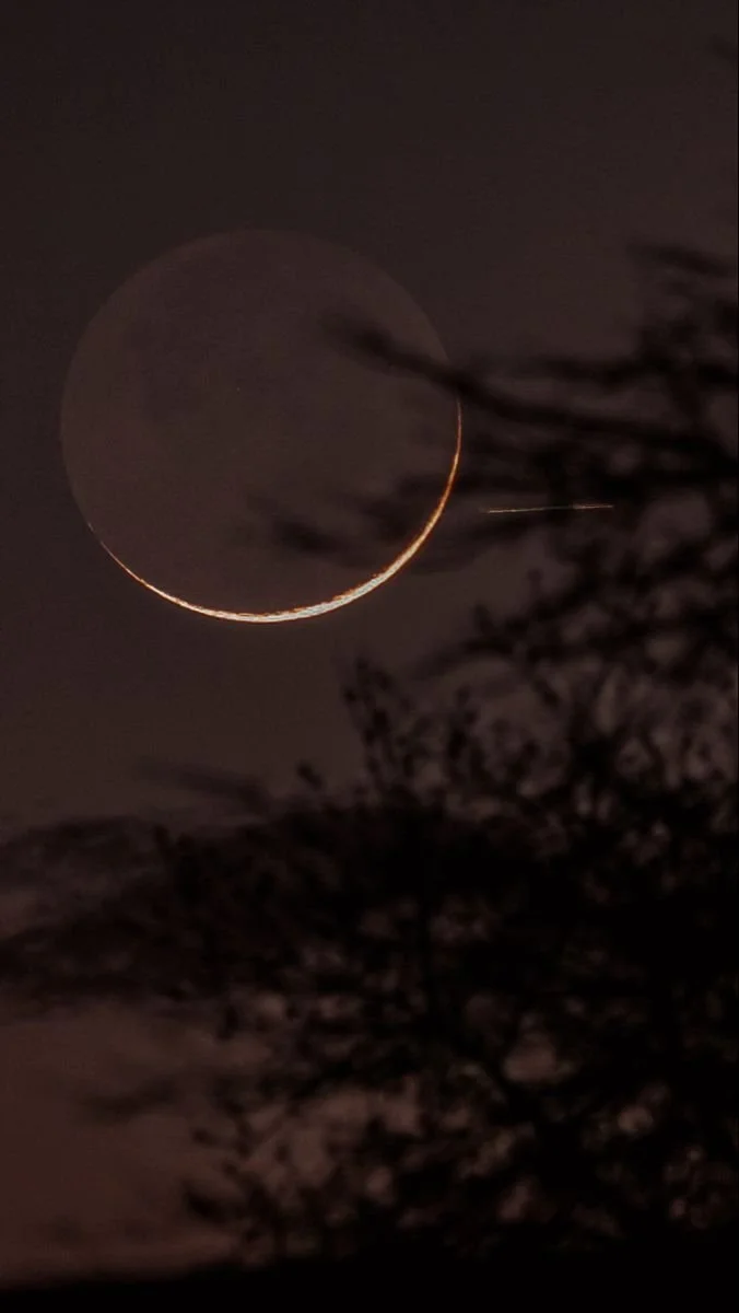 A photograph capturing the moon with a ring of light around it, partially obscured by dark clouds and silhouetted tree branches in the foreground.