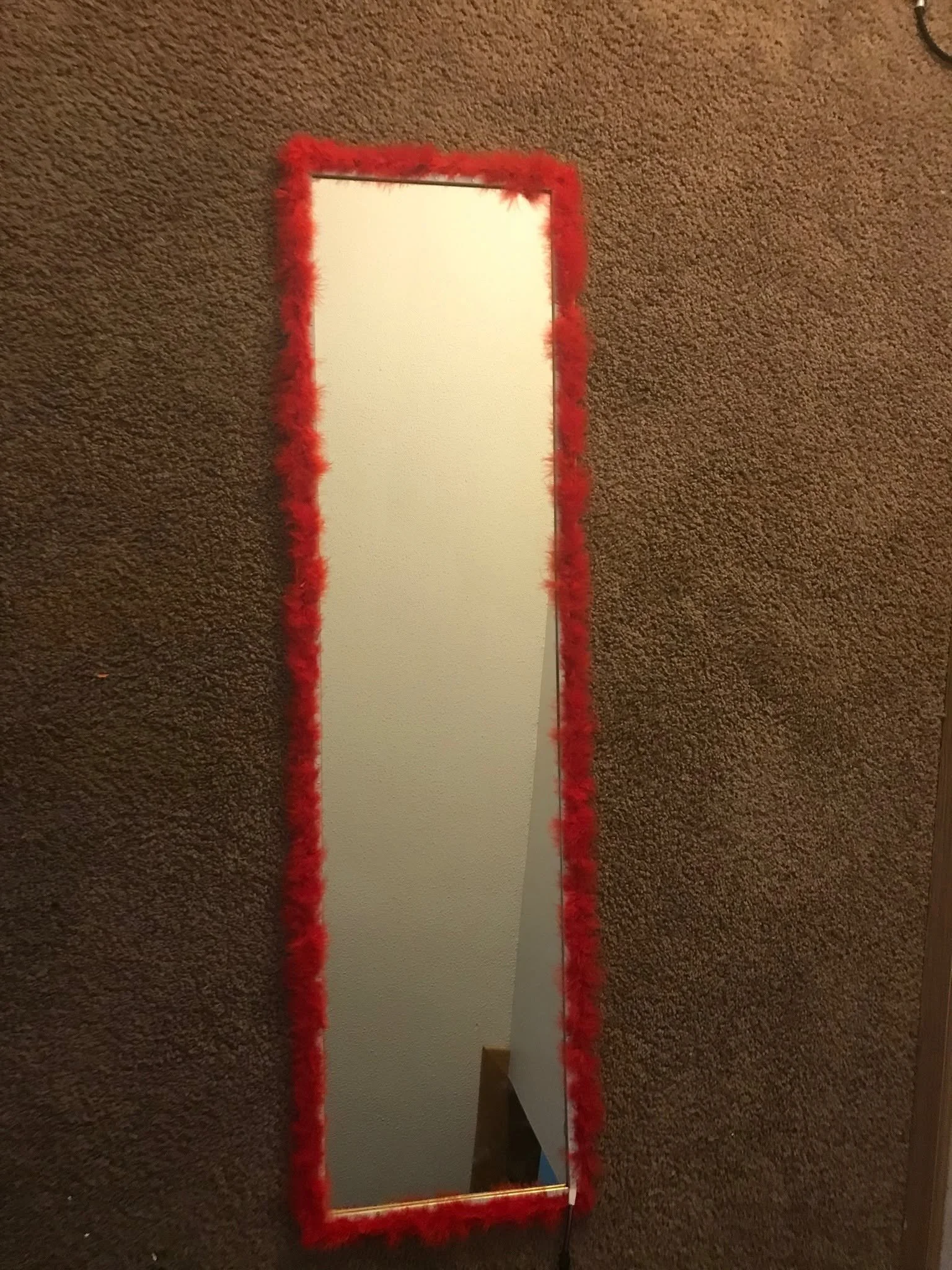 red fur mirror.jpg