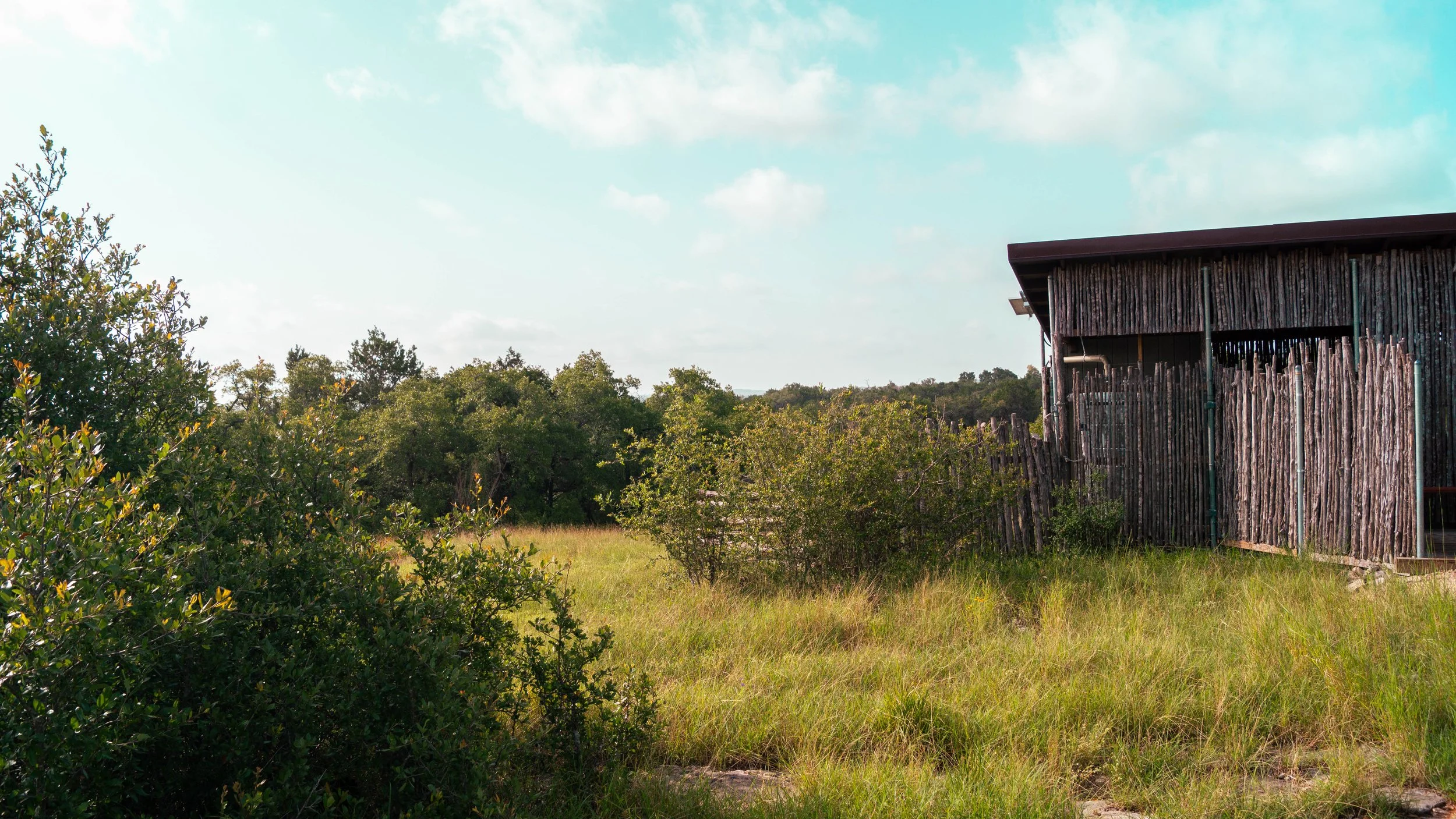 A rural landscape featuring a weathered wooden building on the right, surrounded by green grass and trees, with a blue sky and scattered clouds overhead.