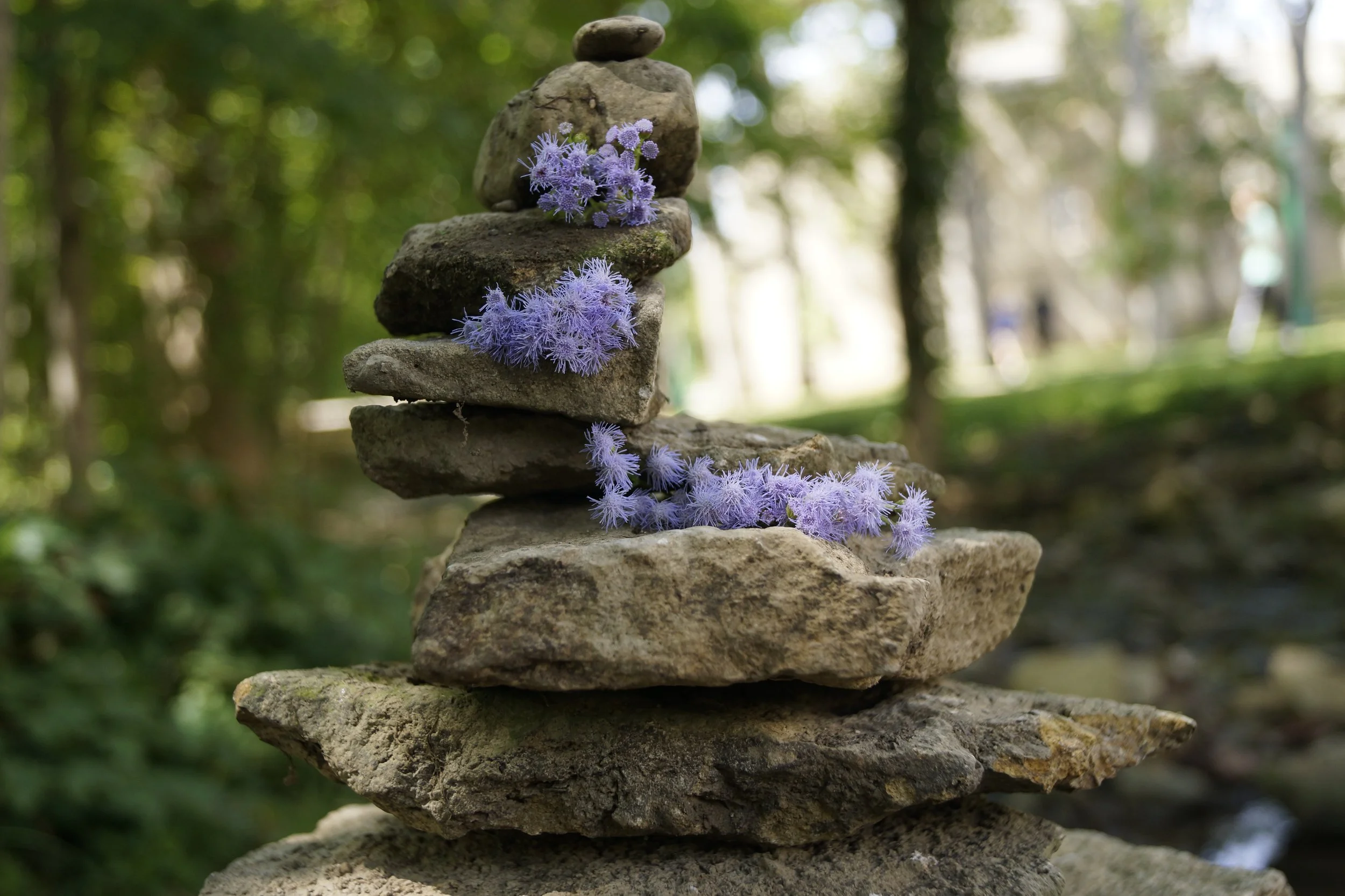 Stack of uneven rocks with purple flowers and petals placed on them, outdoors with blurred trees and greenery in the background.