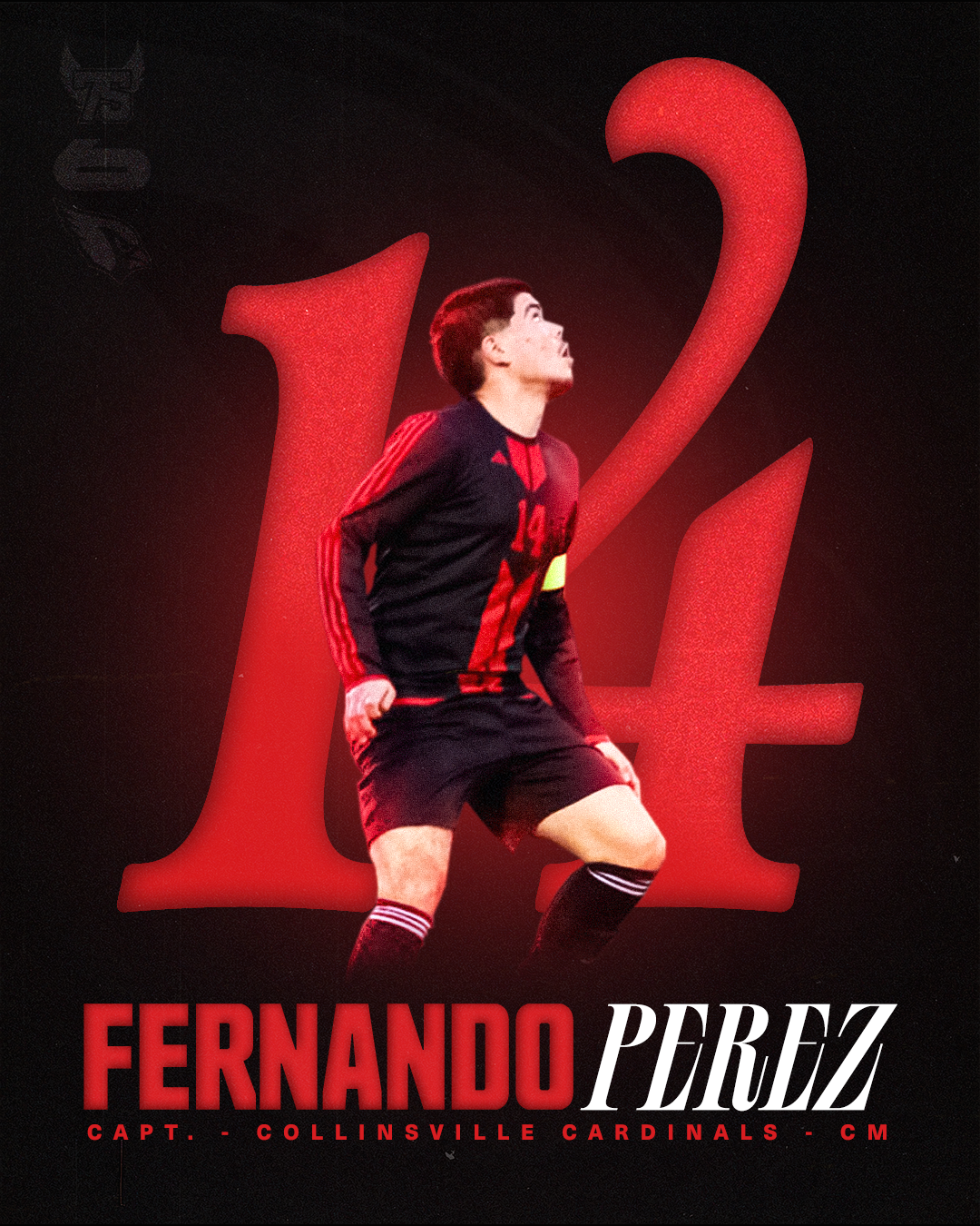 NANDO14.png