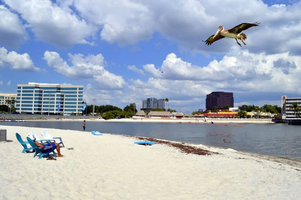 A pelican flying over a beach with a cityscape in the background, including several buildings across a body of water, with some people relaxing on the sand.