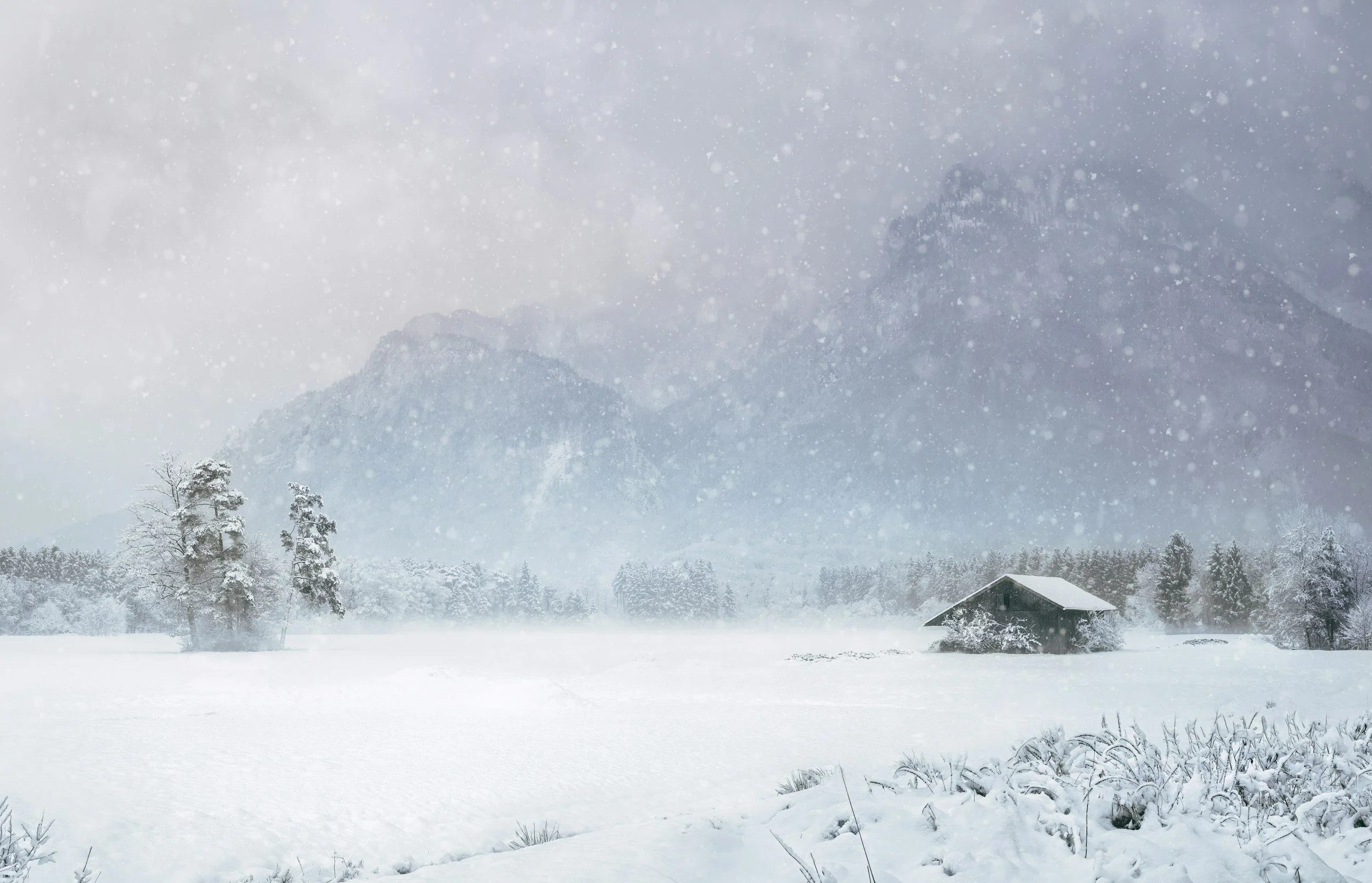Snow-covered landscape with snow falling, a mountain in the background, a few trees in the foreground, and a small house on the right side.