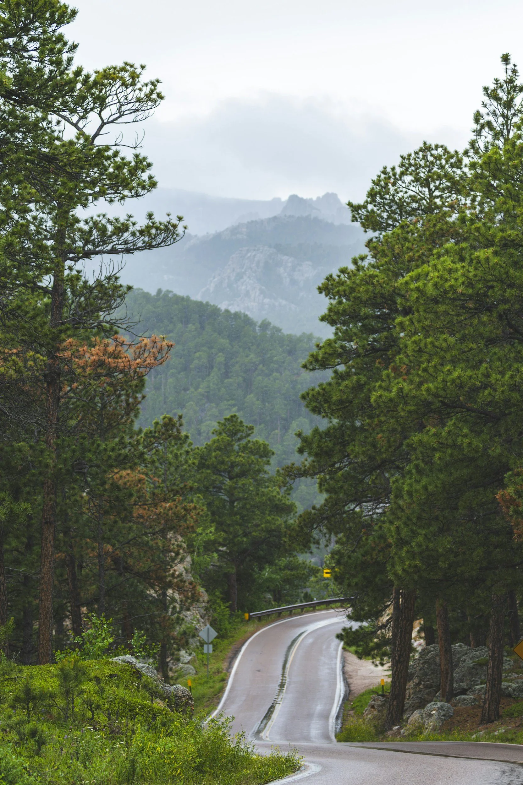 A winding mountain road surrounded by tall green pine trees, with rocky cliffs and distant mountain peaks in the background under an overcast sky.