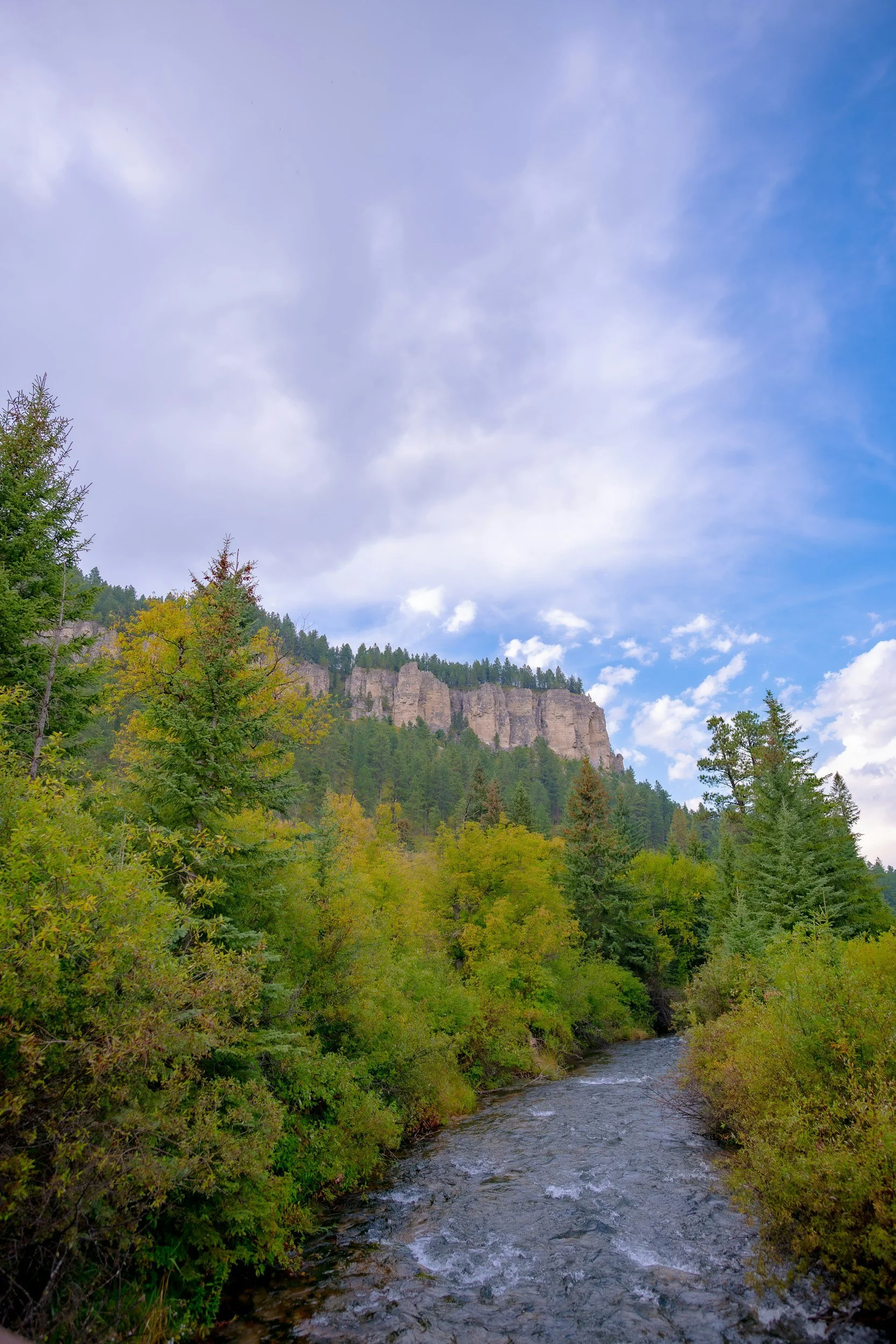 A river flowing through a lush green forest with rocky cliffs and a partly cloudy sky.
