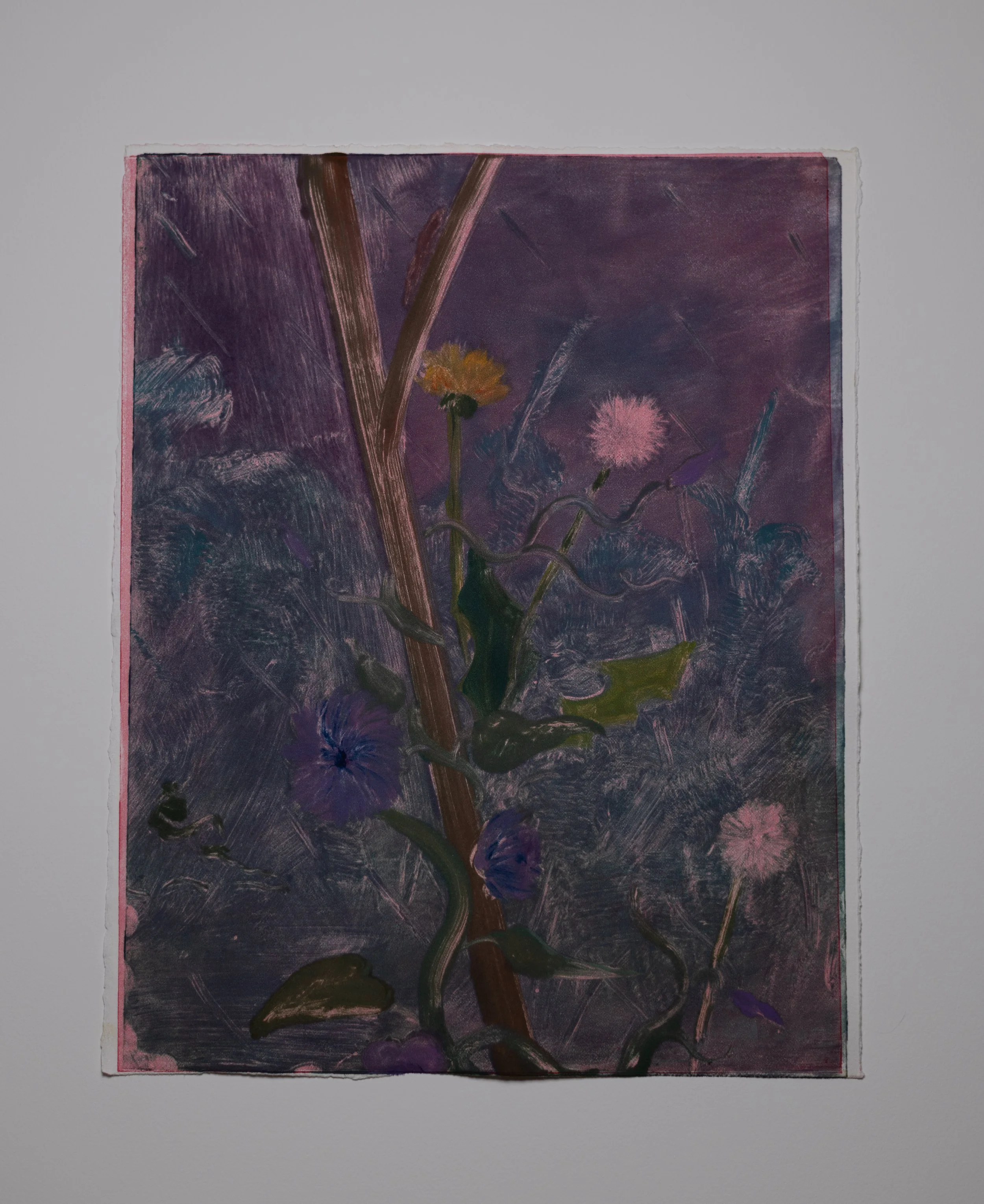 Climbing, 2026, monotype on paper, 11x14 in.