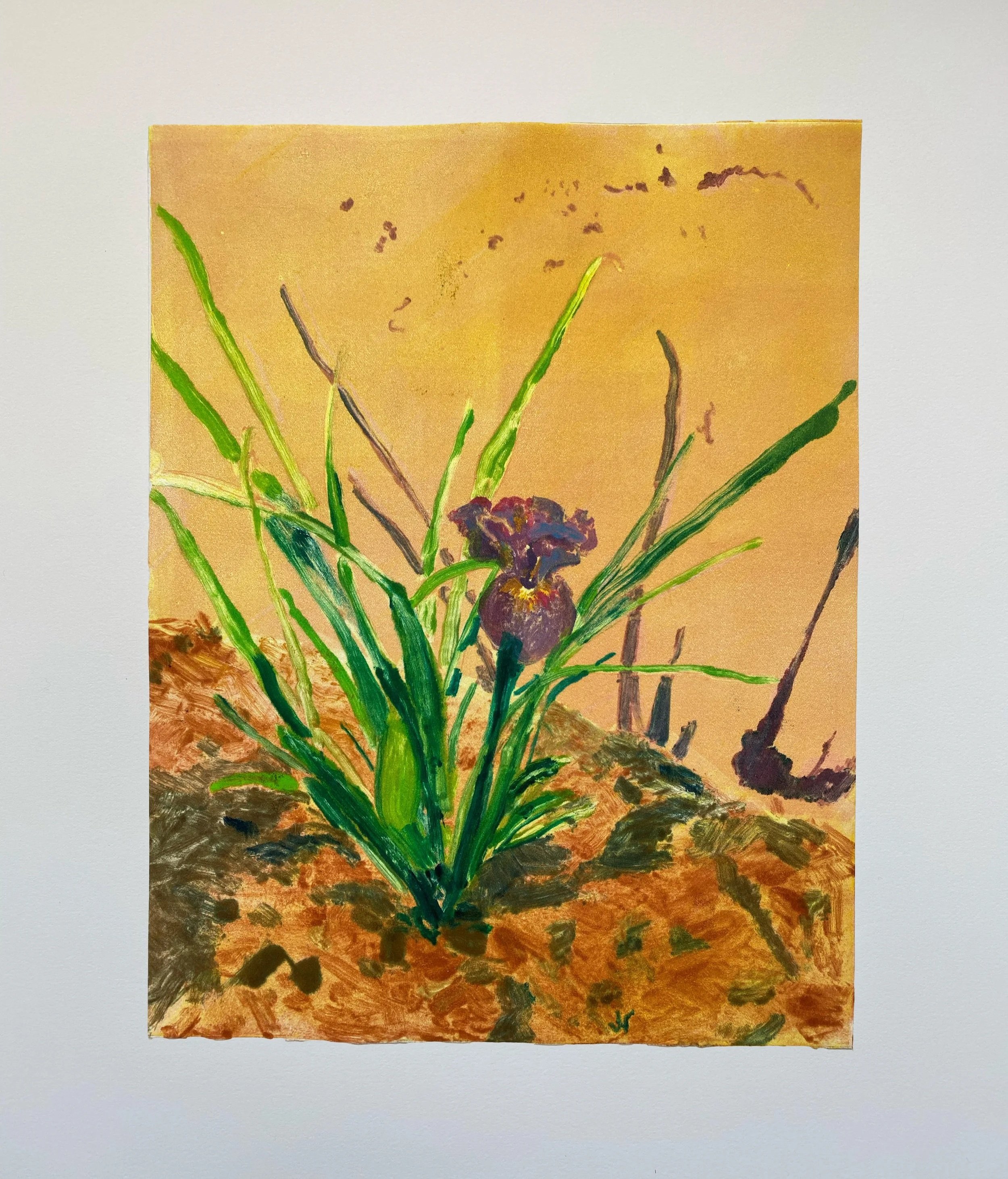 Iris, 2023, monotype on paper, 11x14 in.