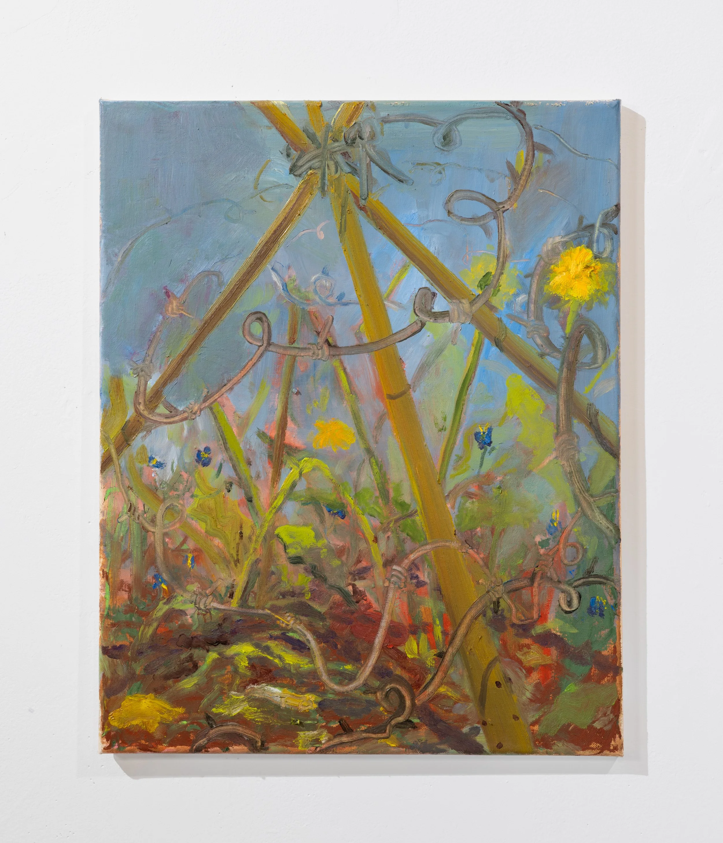 Overgrown, 2026, oil on canvas, 16x20 in.
