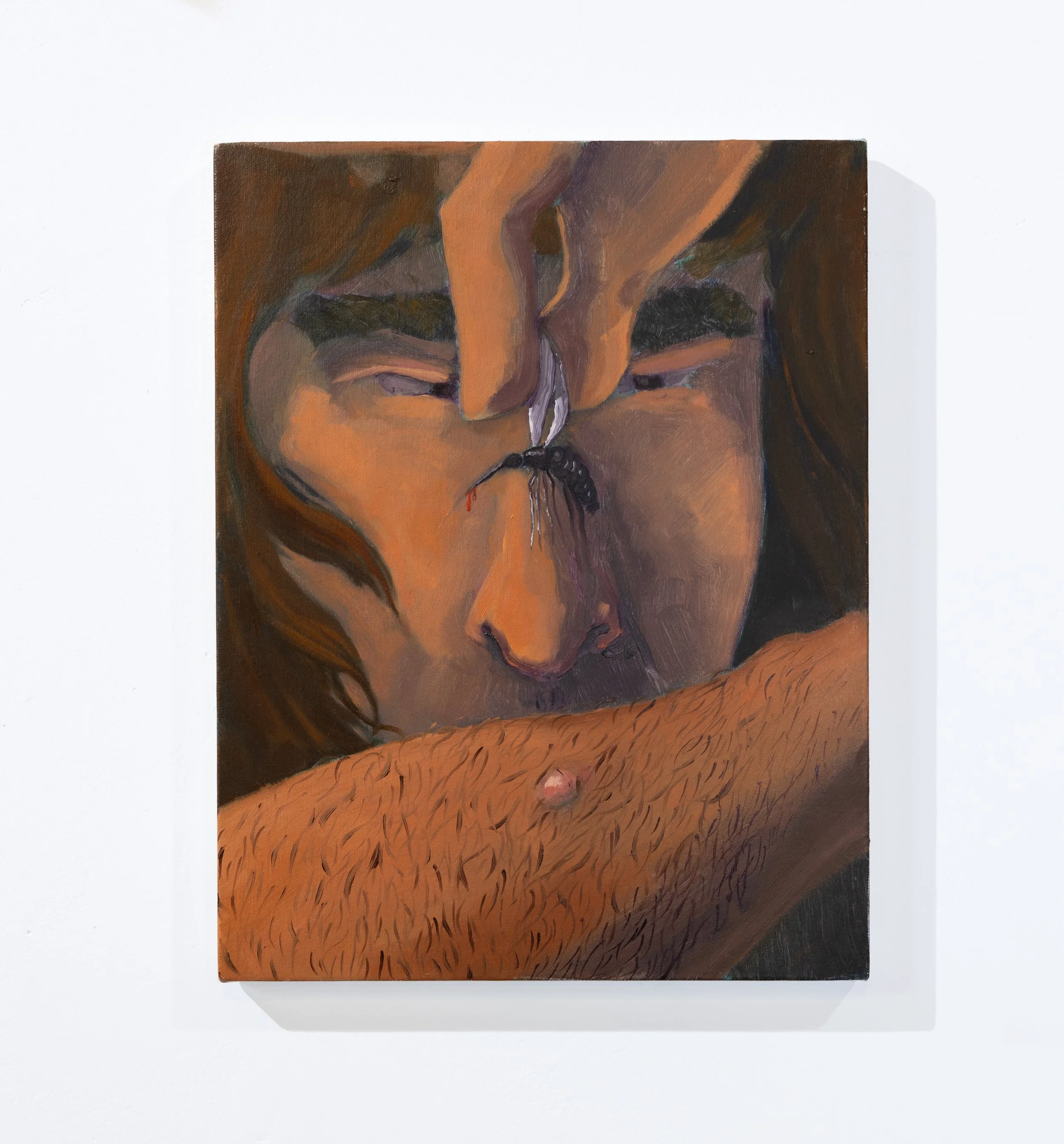 Plucker, 2025, oil on canvas, 11x14 in