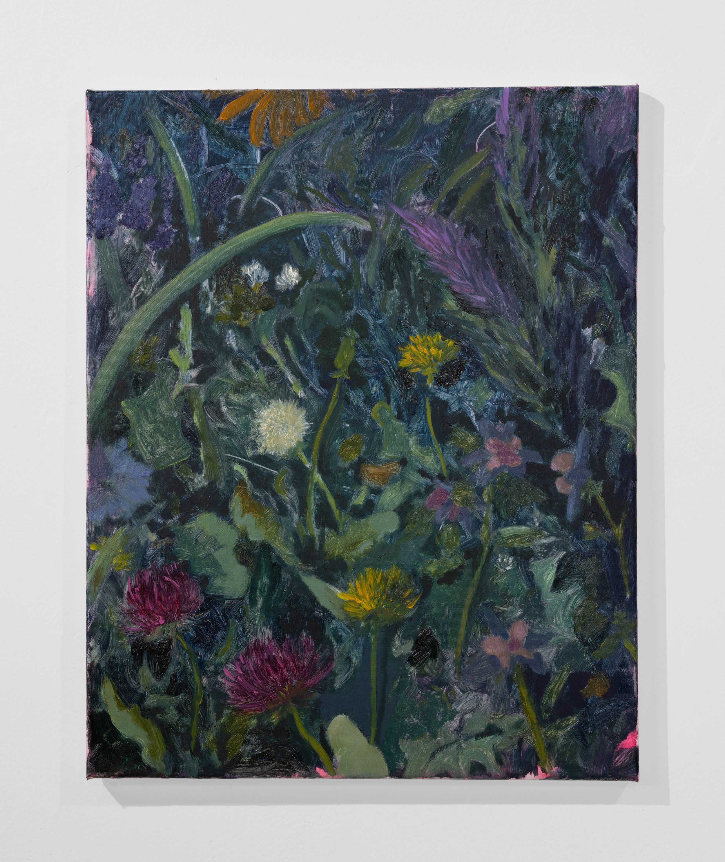 Untitled (Wildflowers), 2026, oil on canvas, 16x20 in.