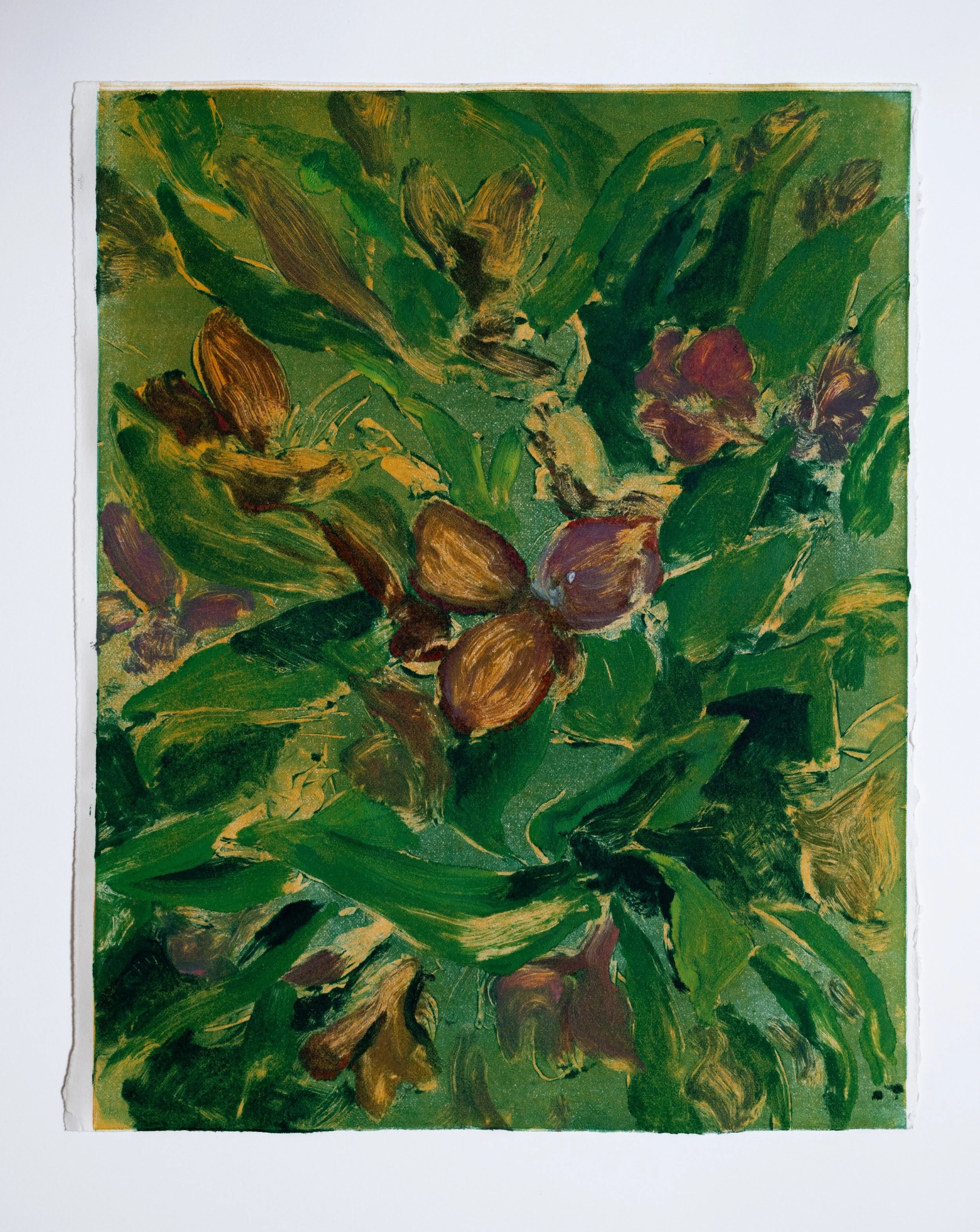 Untitled (Alstromerias II), 2024, monotype on paper, 11x14 in.