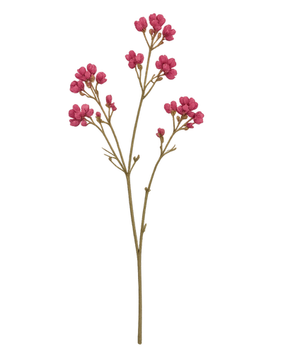 A small branch with multiple pink flower clusters and green stems.