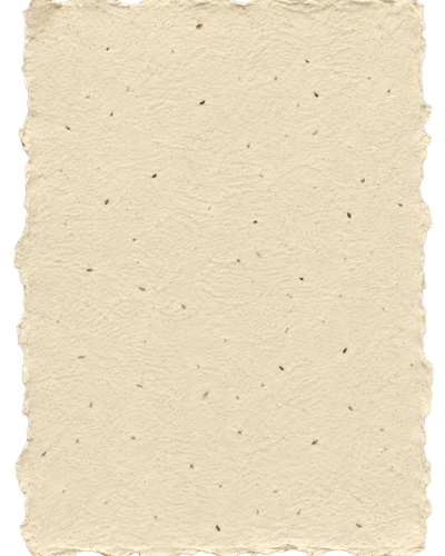 Blank, textured piece of paper with rough, torn edges.