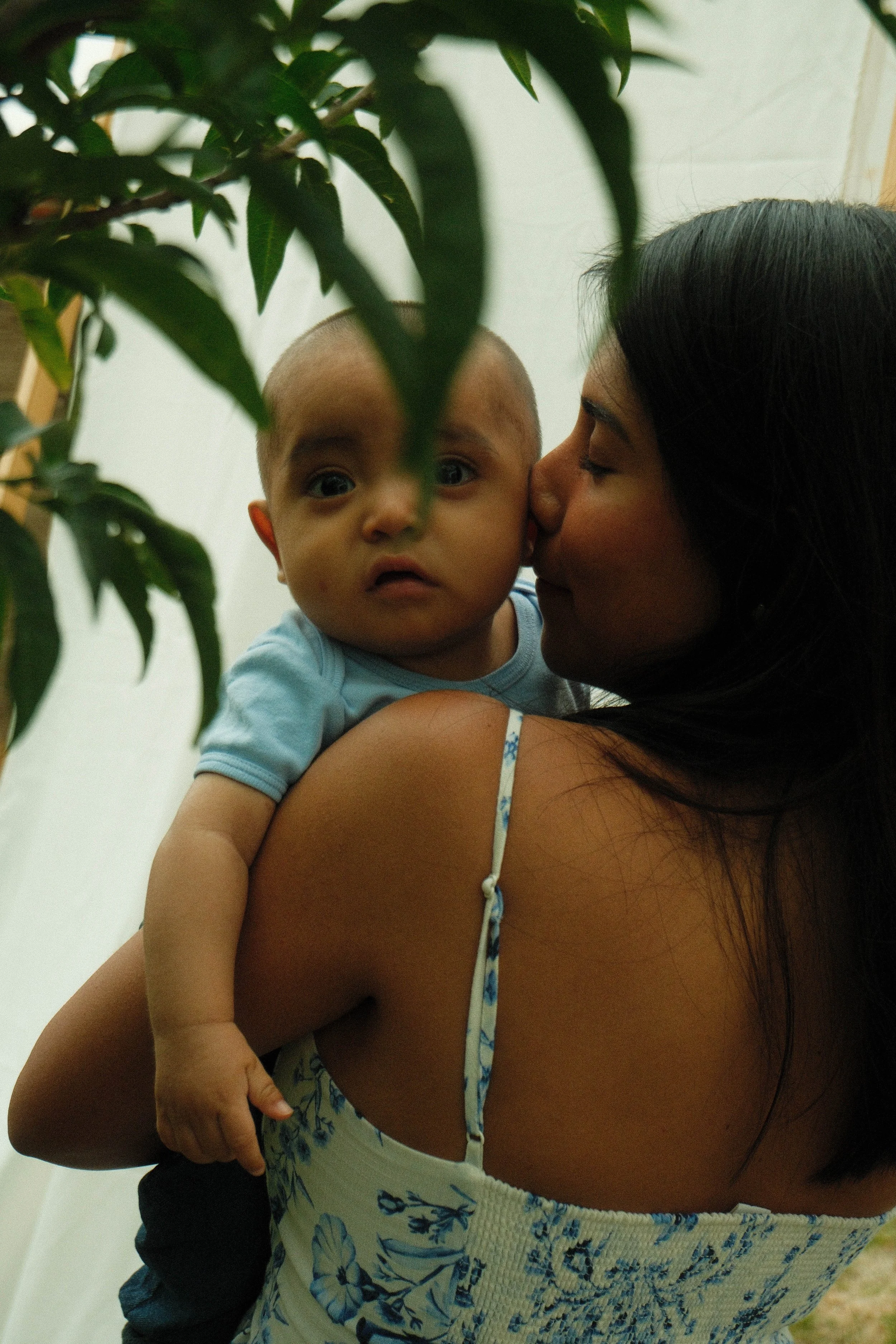 A woman is holding a young child close to her shoulder, giving him a kiss on the cheek. The child is looking directly at the camera with a curious expression. The scene is indoors, partially obscured by green leaves in the foreground.