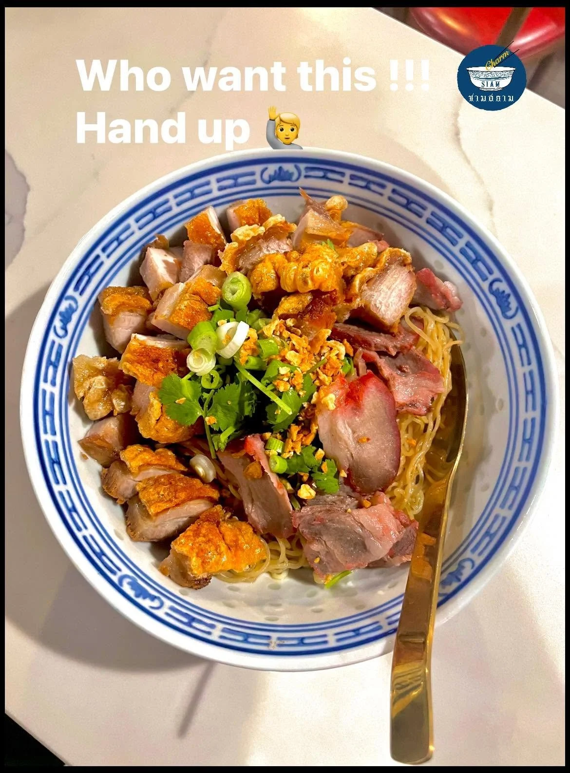 Bowl of Asian noodle soup topped with sliced roasted meats, chopped green onions, cilantro, and crushed peanuts, with a gold spoon resting on the side.