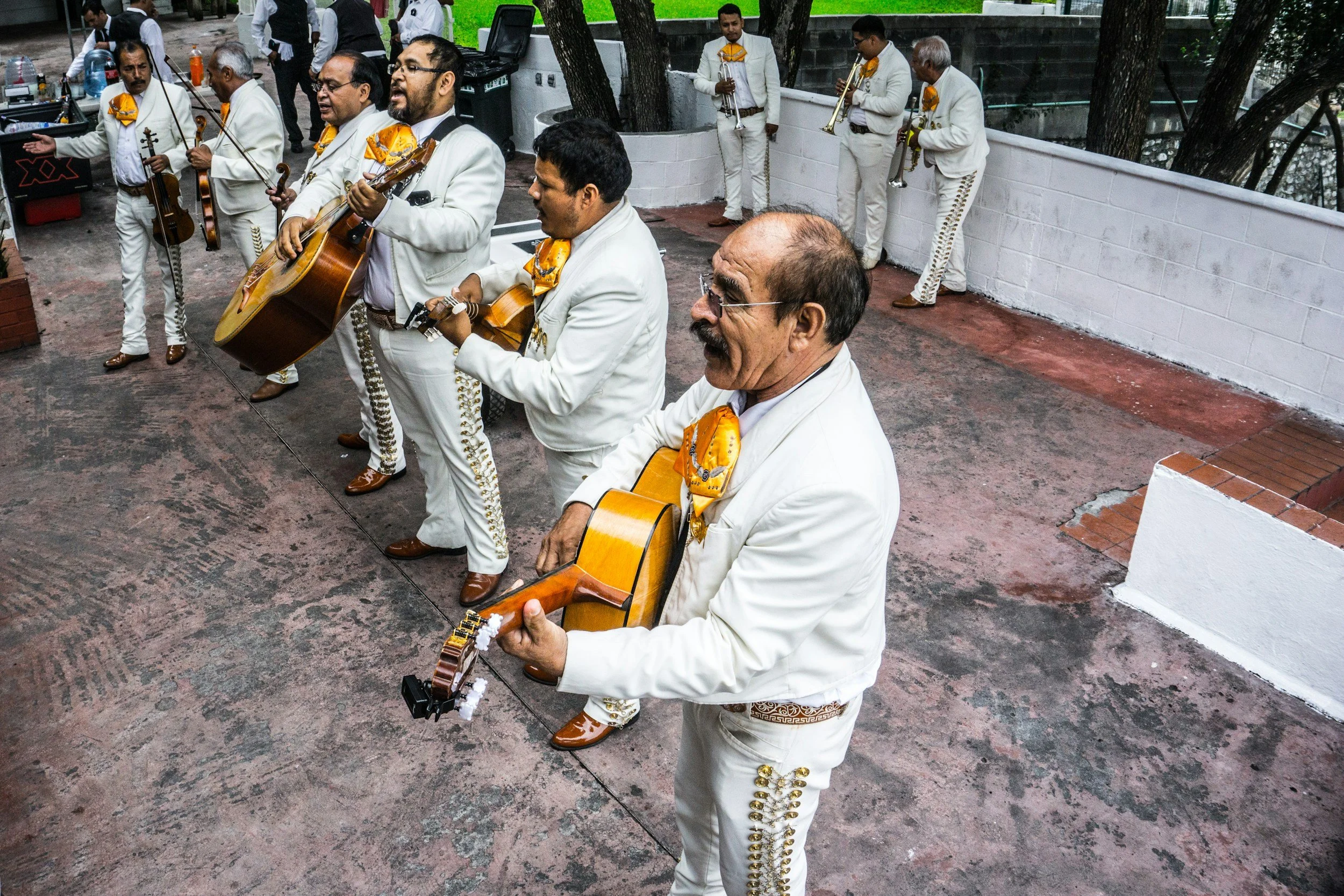 A mariachi band performing outdoors, dressed in traditional white suits with gold accents, playing guitars and trumpets.