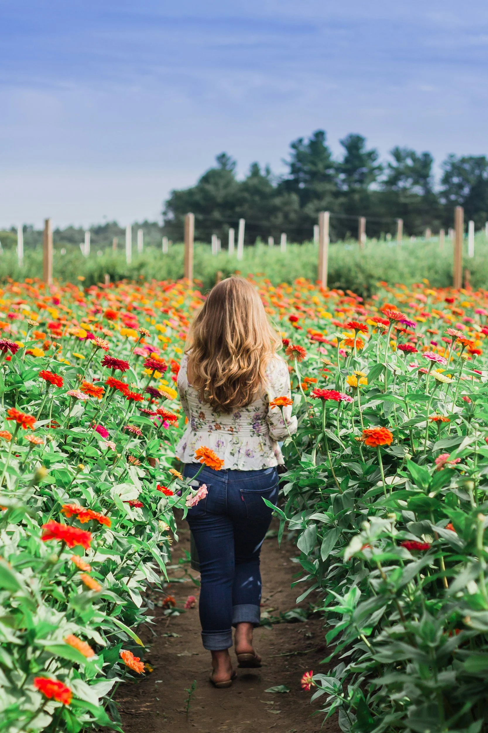A woman with long brown hair, wearing a floral top and jeans, walks barefoot through a field of colorful zinnia flowers under a blue sky.