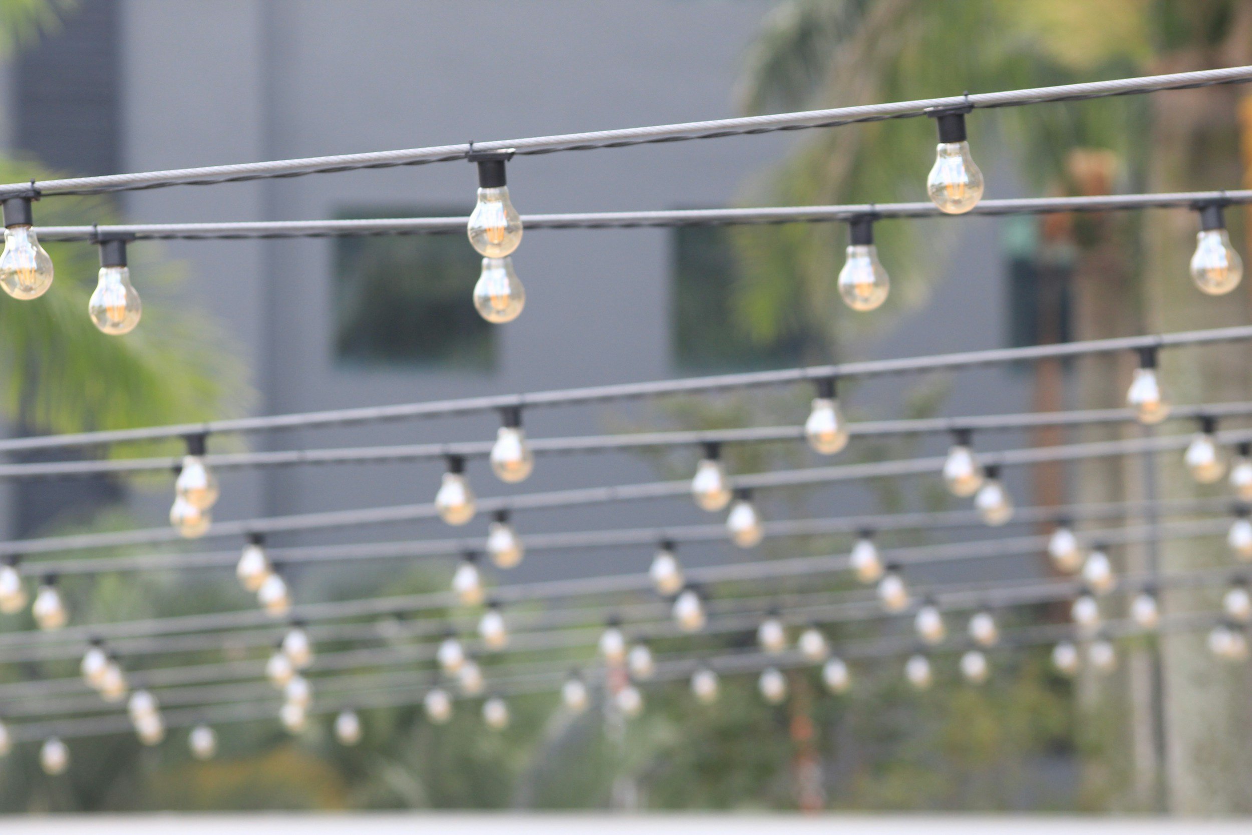 String of outdoor string lights with clear bulbs hanging on metal cables, blurred background with greenery and buildings.