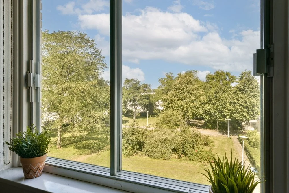 View of green trees and bushes seen through a window with a white frame, with two potted plants on the windowsill.