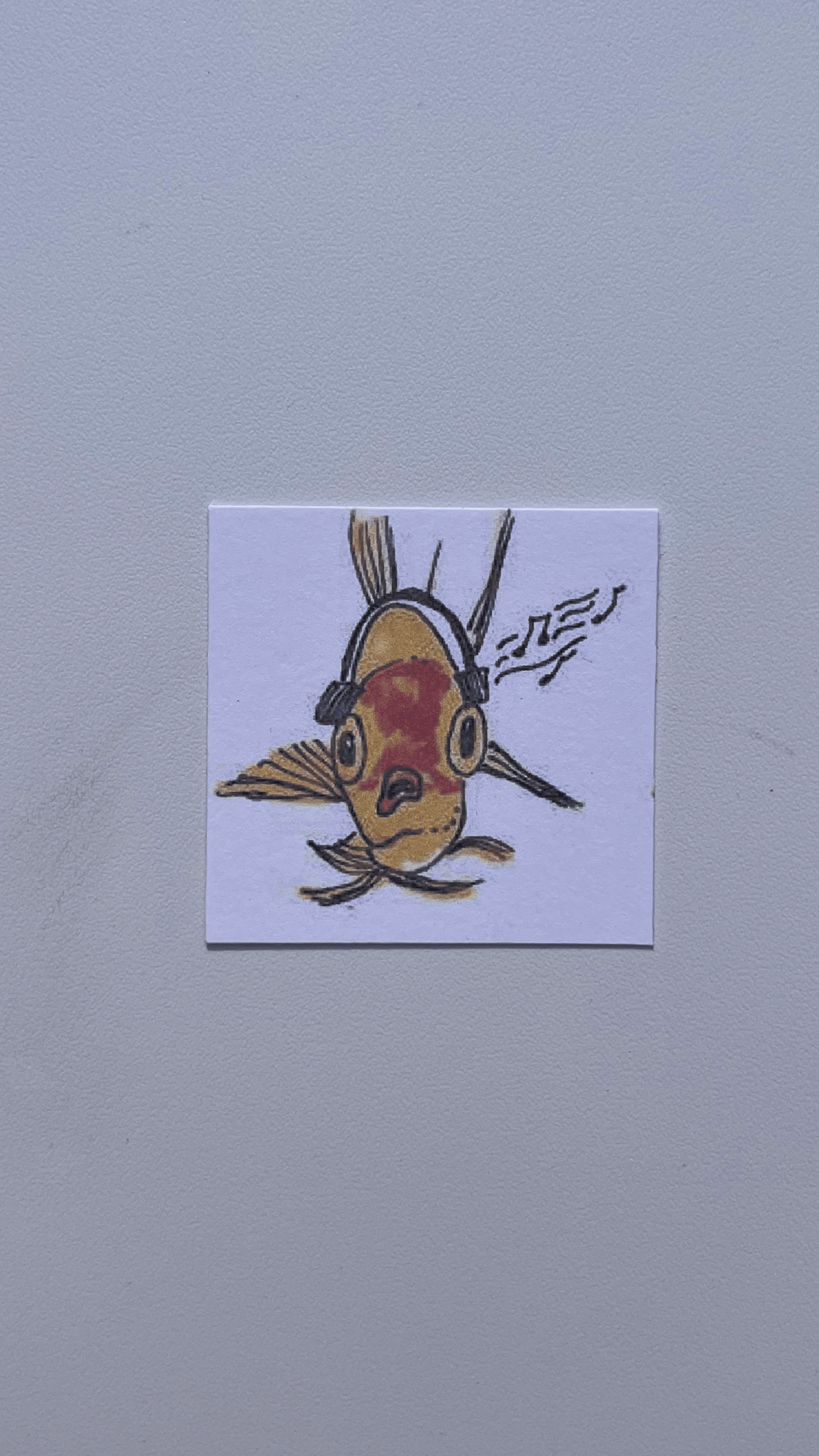 IMG_4138.png