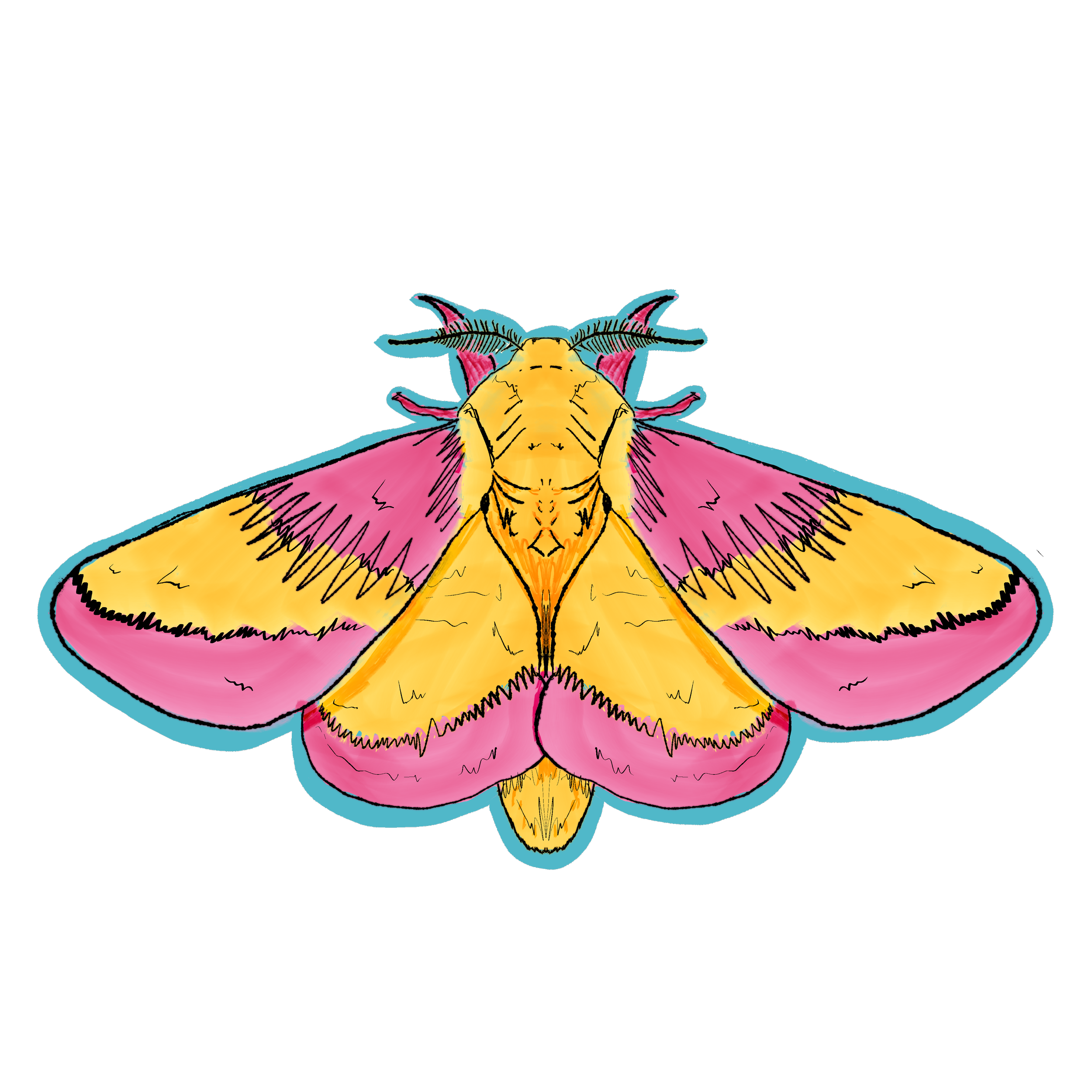 Untitled_Artwork 3.png