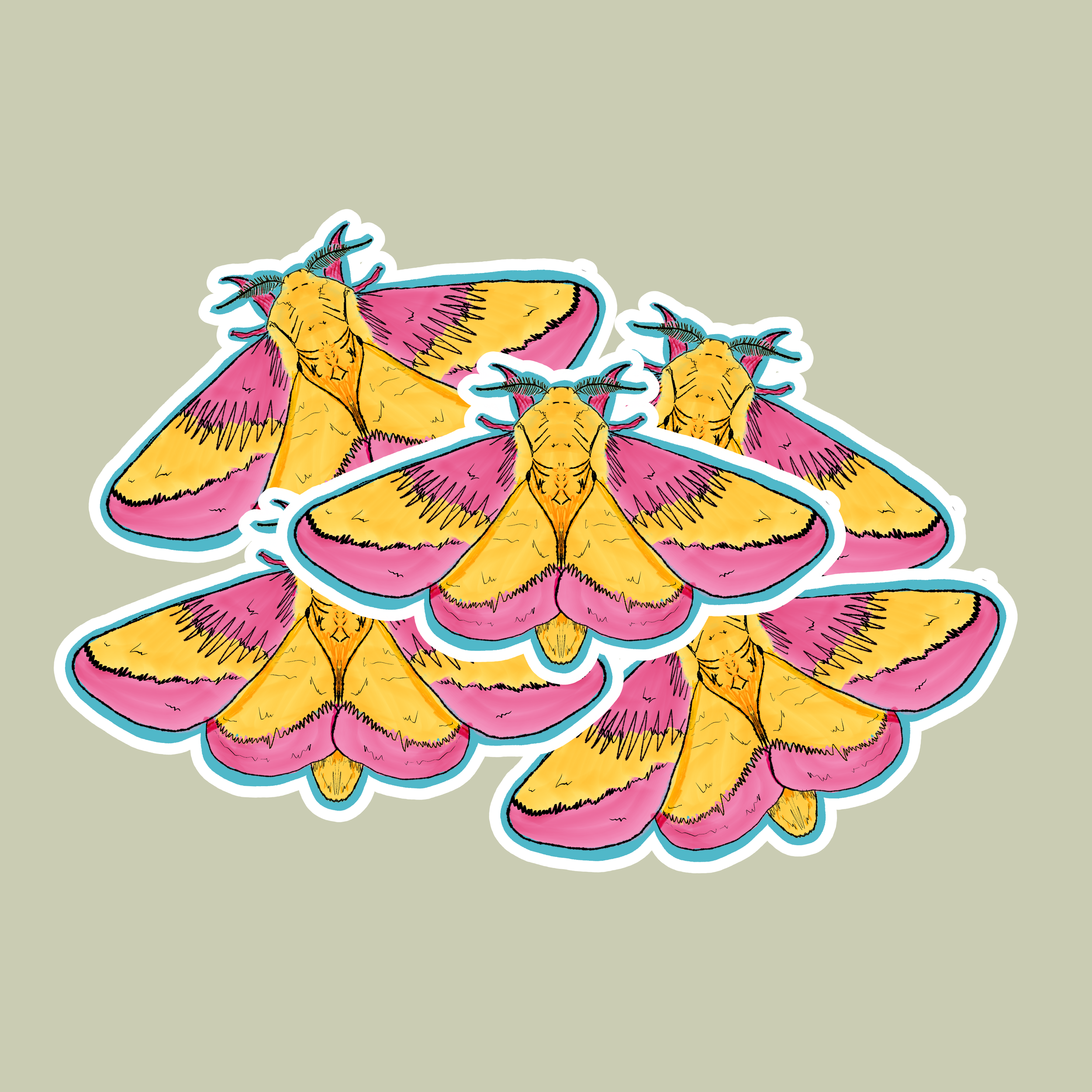 moths.png