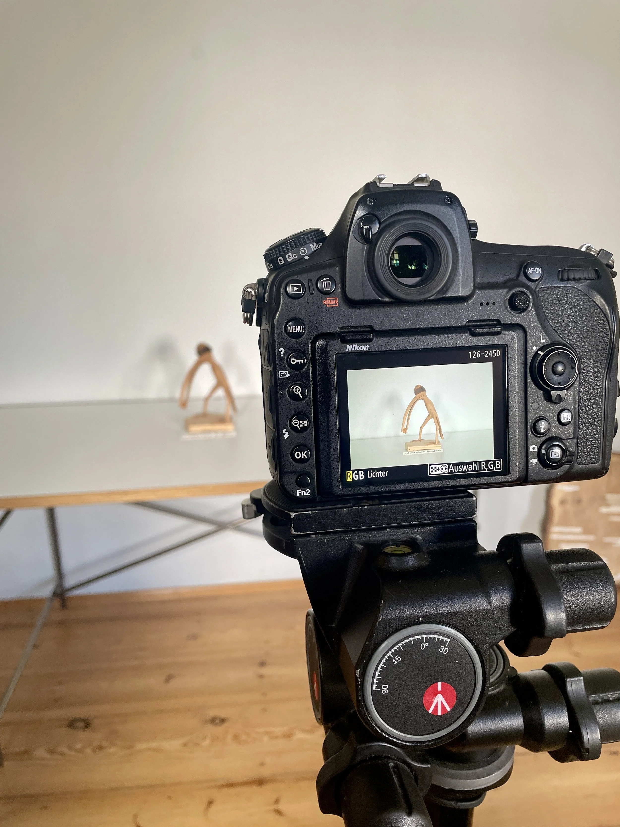 Werkfotografie einer Holzarbeit von Tony Torrilhon im Atelier in Rheinsberg: Kamera beziehungsweise Digitalkamera auf Stativ während der fotografischen Dokumentation für WERKeinBLICKE. Zu sehen ist ein Holzobjekt: Vogel.
