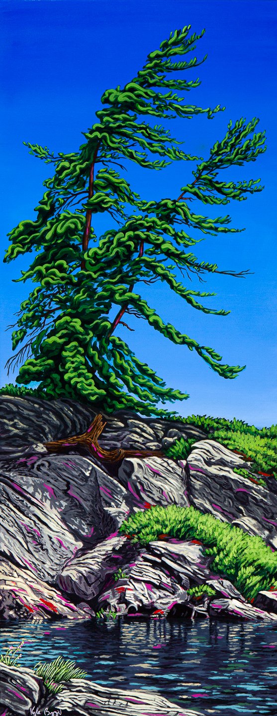 On the Bluff, Acrylic on canvas, 16 x 40