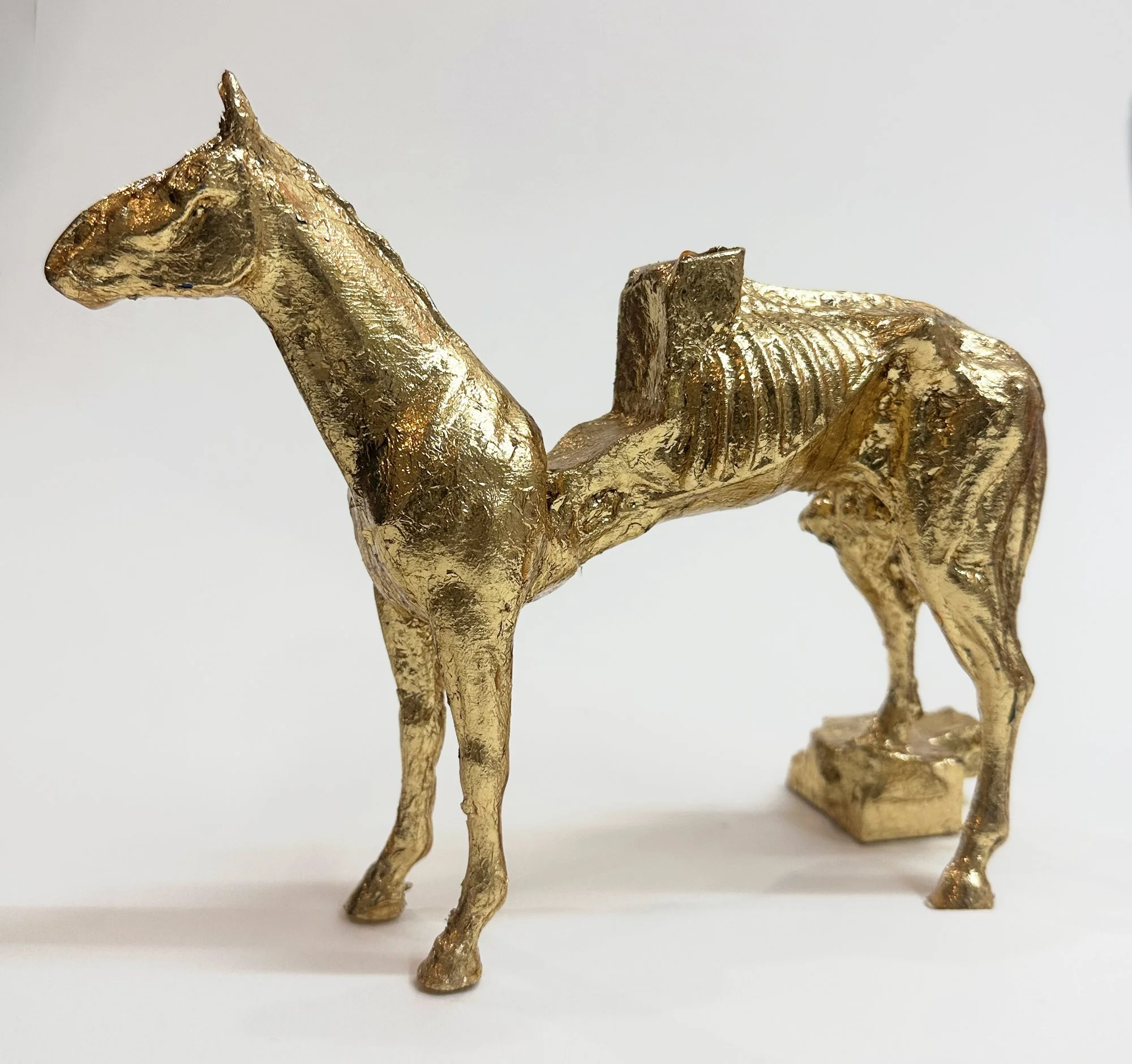 goldhorse4.jpg