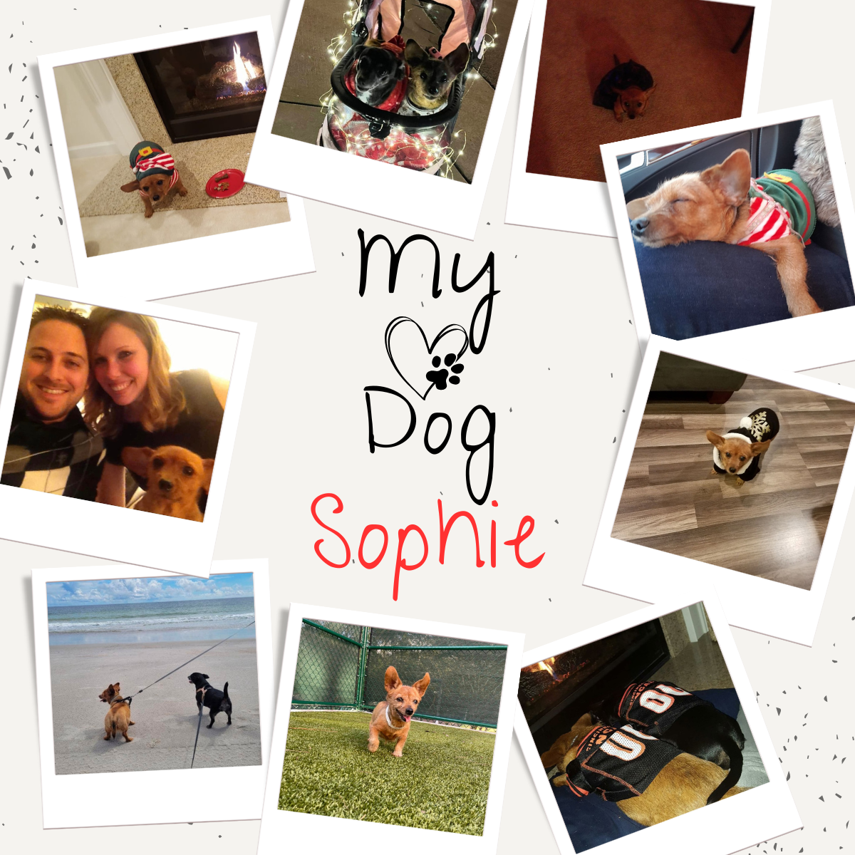 My Heart Dog, Sophie