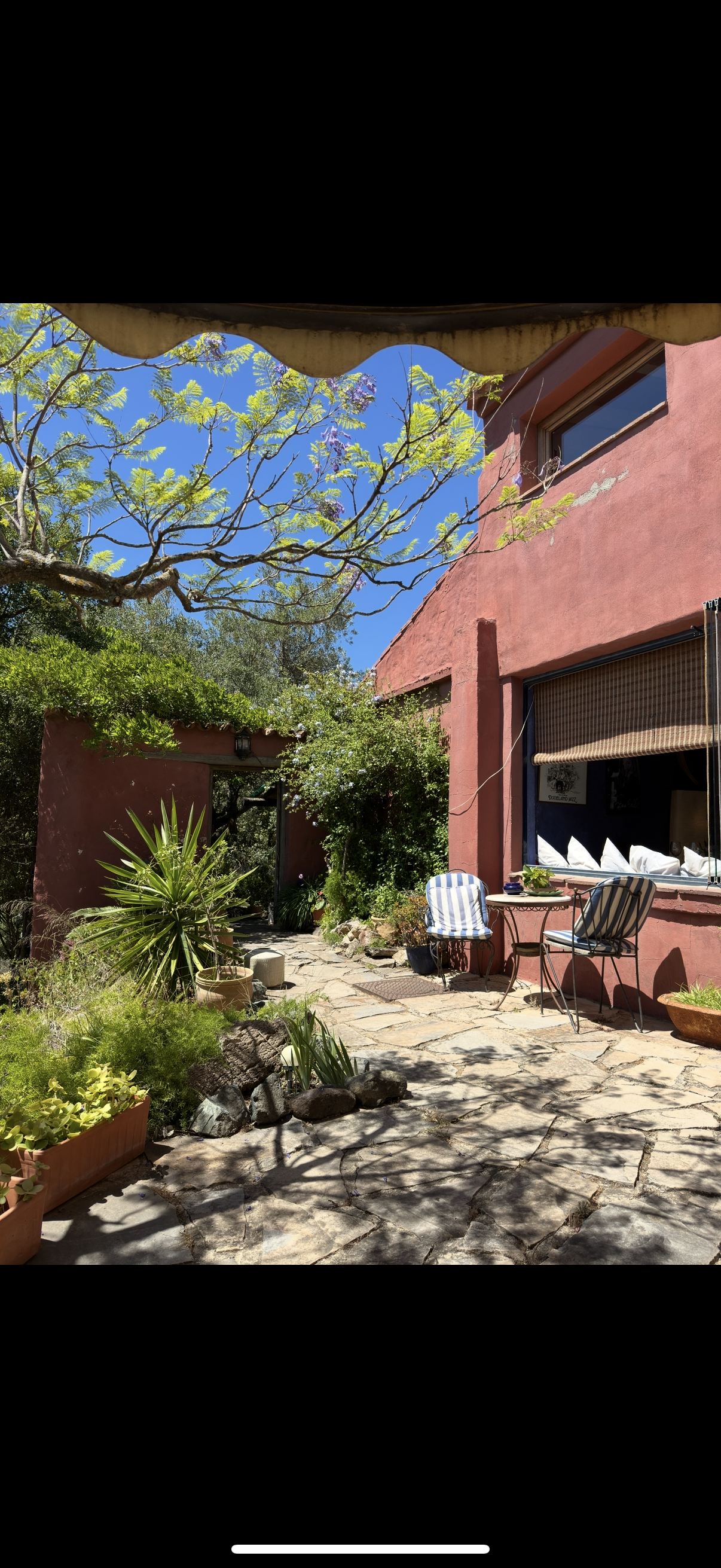 A cozy outdoor patio area with a stone pathway, surrounded by lush green plants and trees, adjacent to a pink house with a large window and patio furniture.