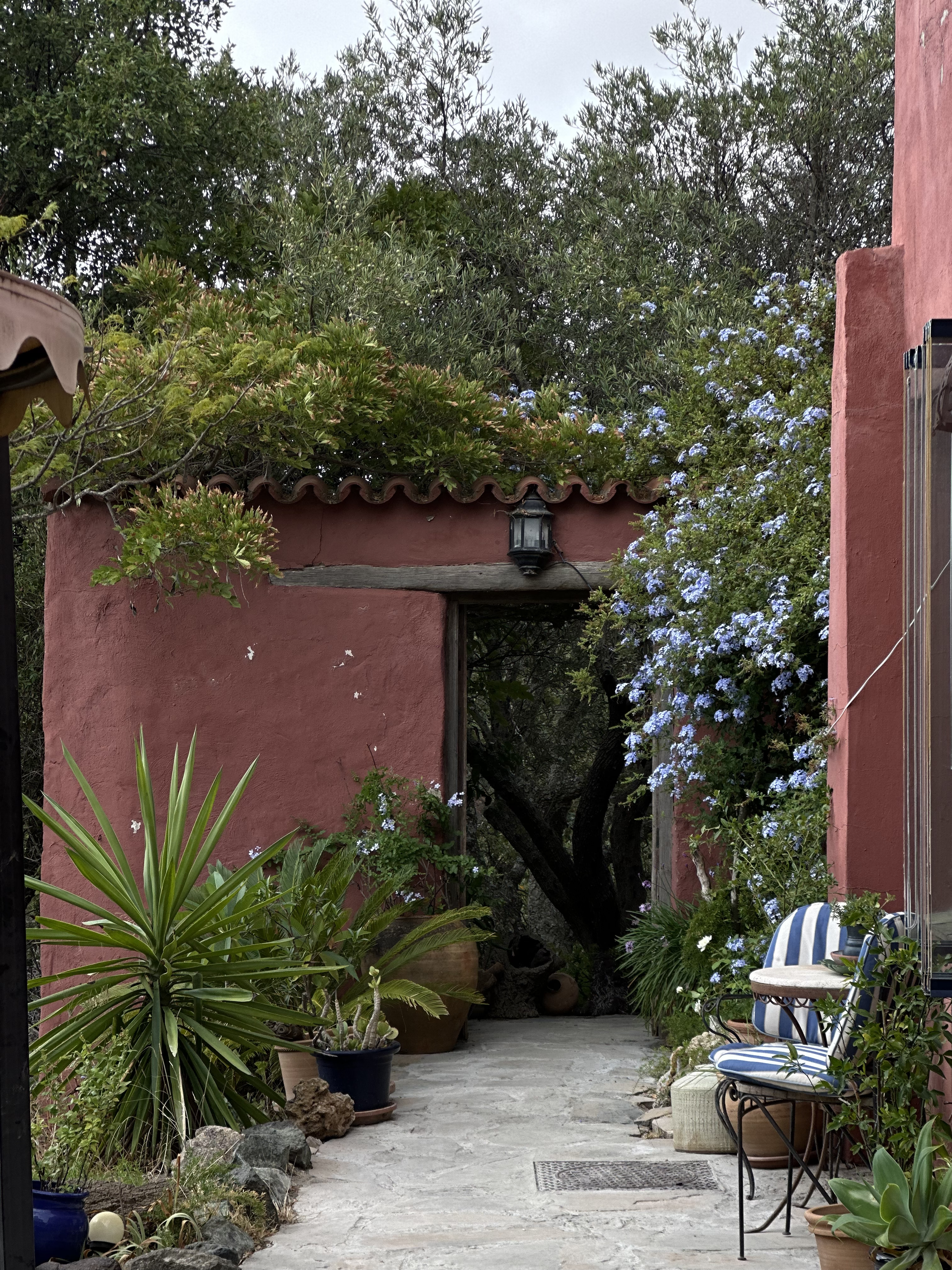 A cozy outdoor patio with a pink stucco wall, colorful plants, blue flowering vines, a striped patio chair, and a small table.