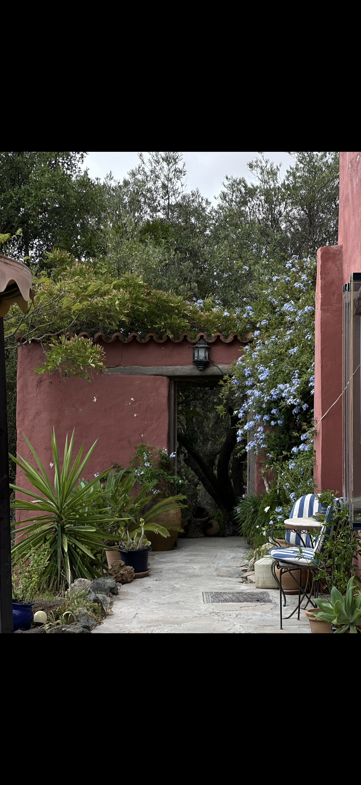 A cozy outdoor patio with potted plants, a pink stucco wall, a white and blue striped chair, and lush greenery surrounding a pathway.