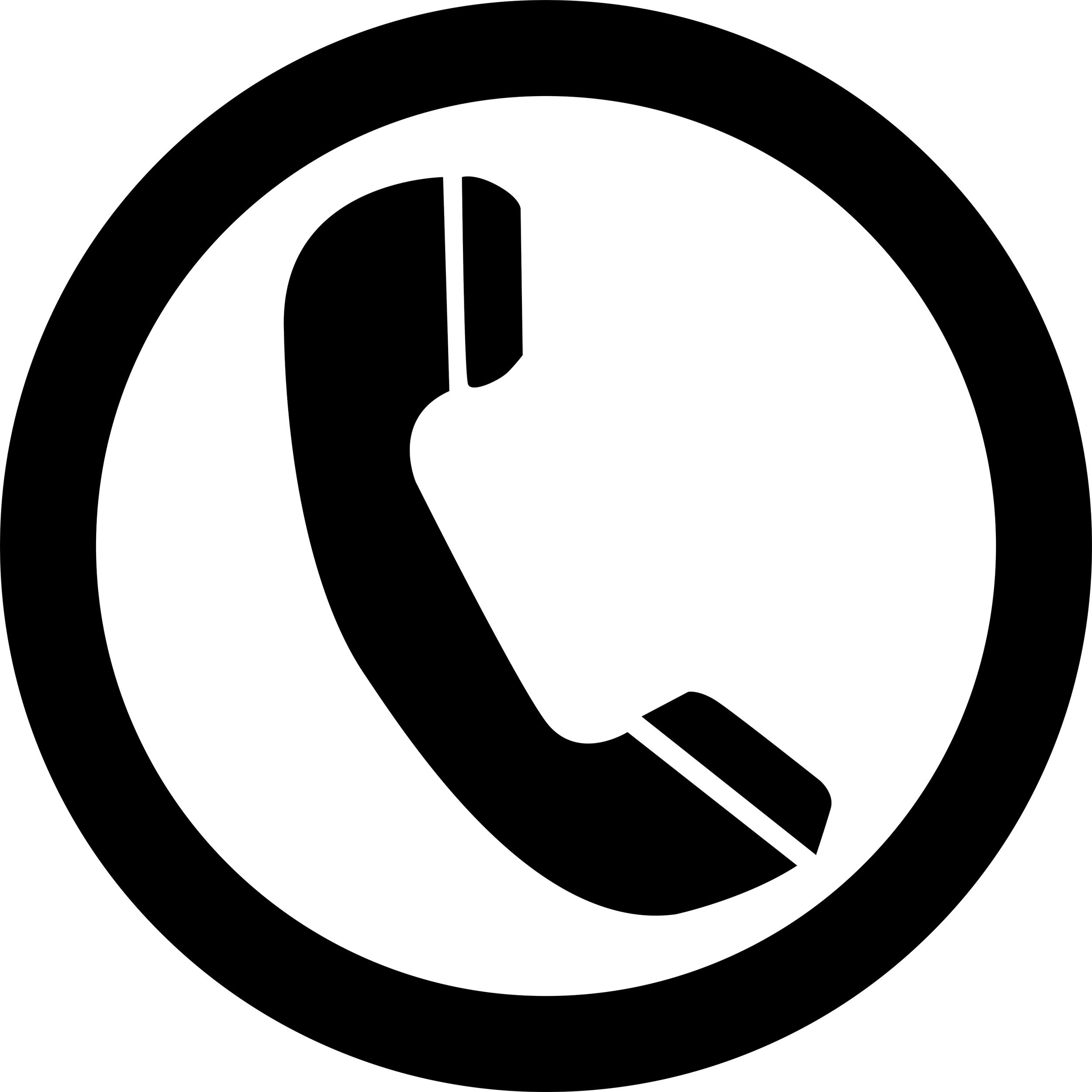 A black background with the geocoins of the Coins of Australia propped up on a black surface.