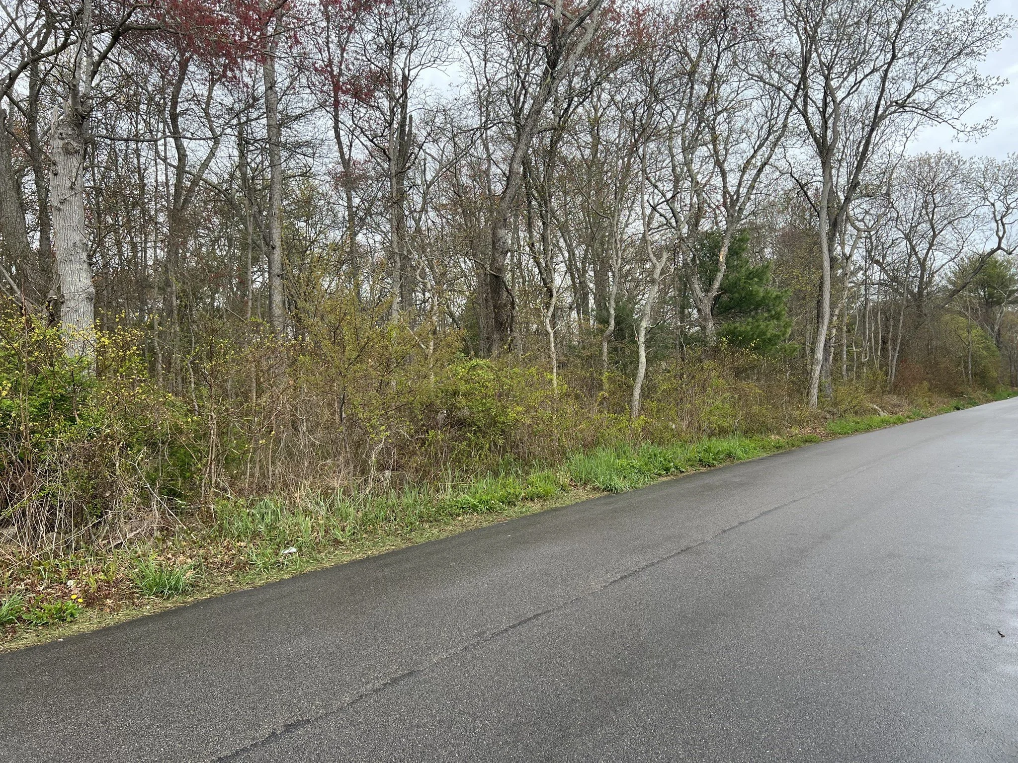 0 Woodyhill Rd Westerly, RI-Land 